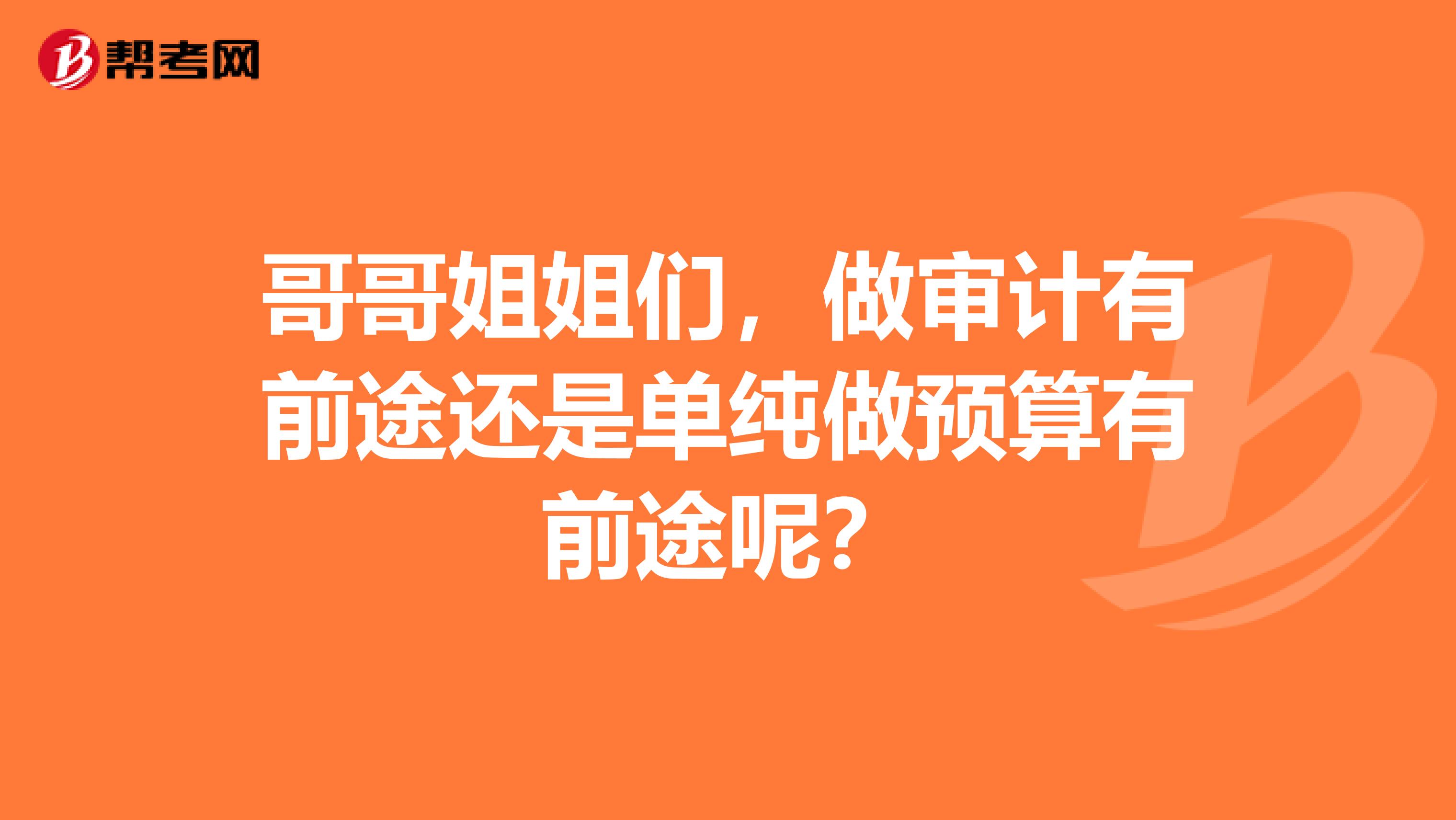 哥哥姐姐們，做審計有前途還是單純做預算有前途呢？