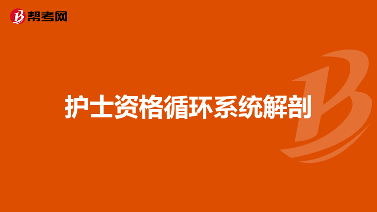 护士资格循环系统解剖