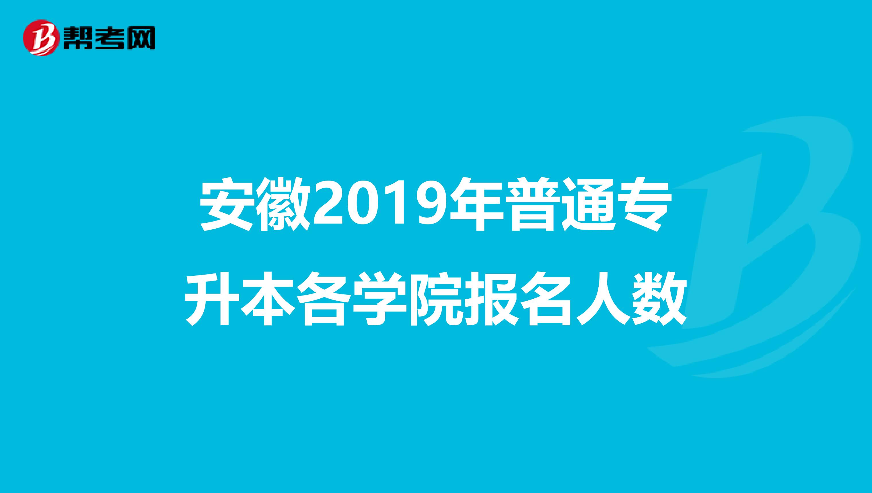 安徽2019年普通专升本各学院报名人数