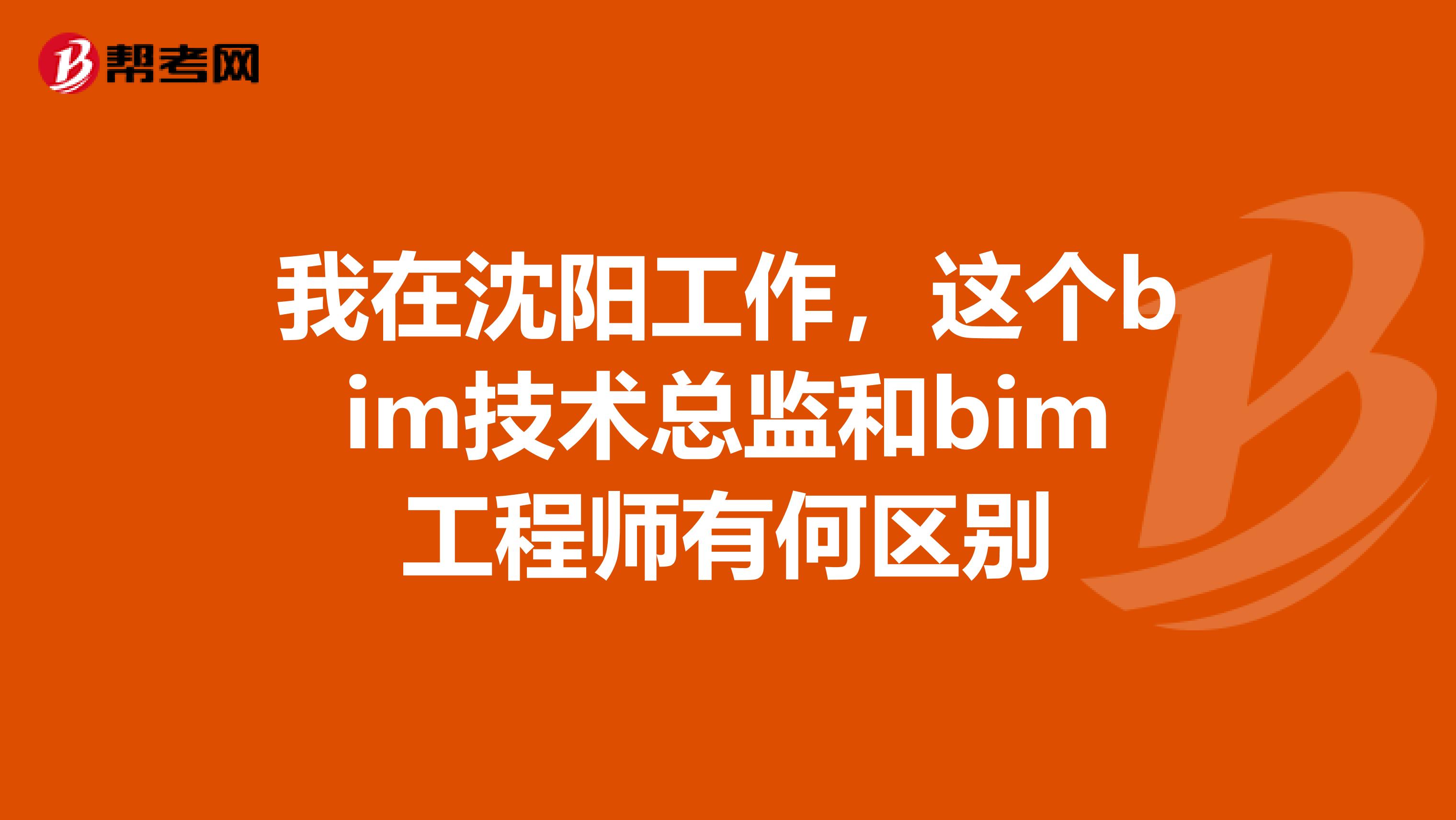 我在沈阳工作,这个bim技术总监和bim工程师有何区别