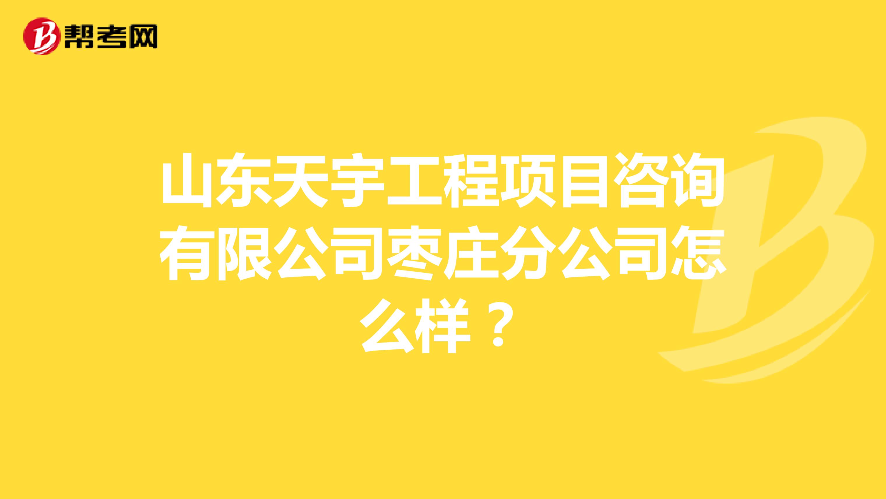 山东天宇工程项目咨询有限公司枣庄分公司怎么样？
