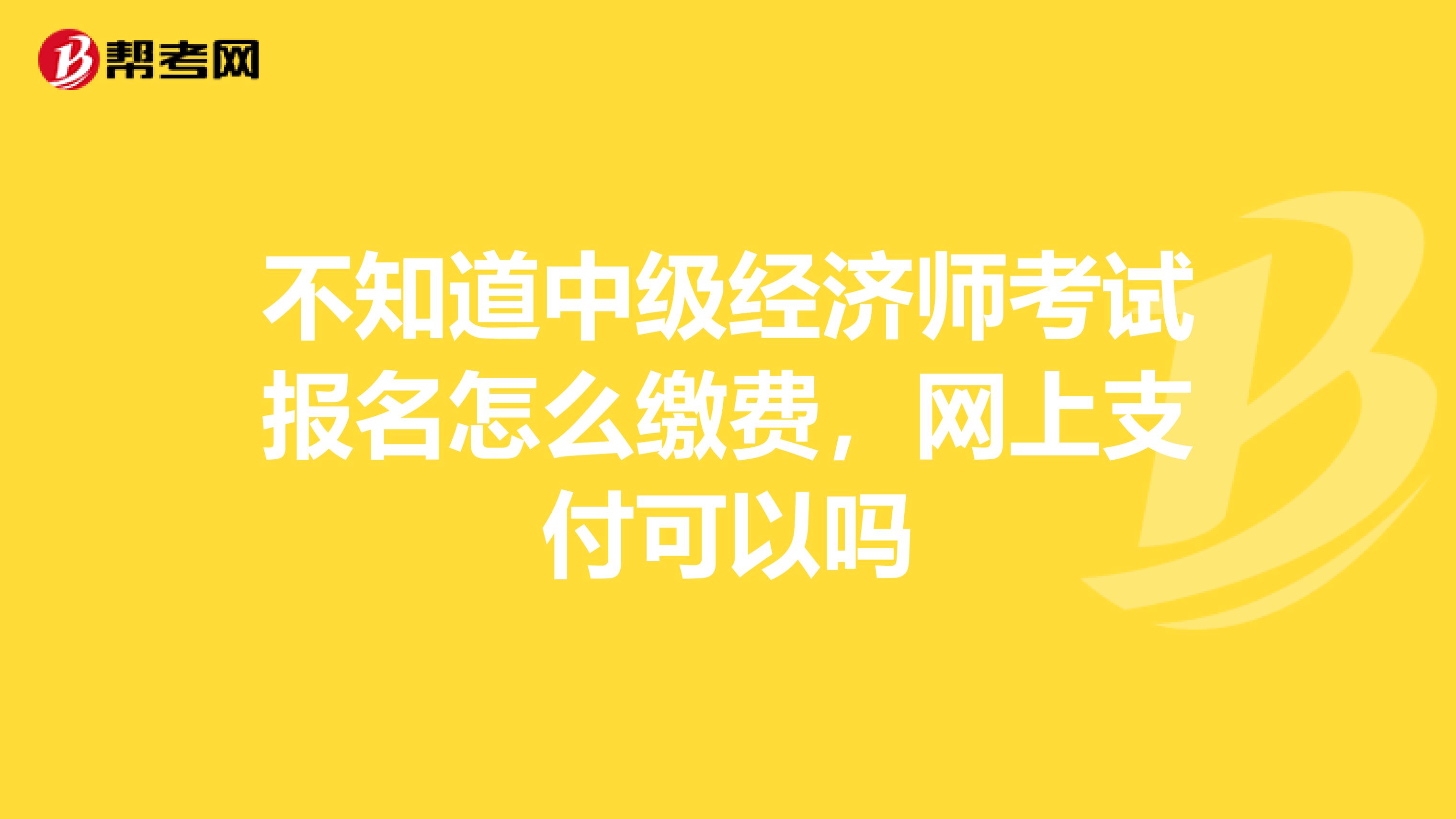 不知道中级经济师考试报名怎么缴费，网上支付可以吗