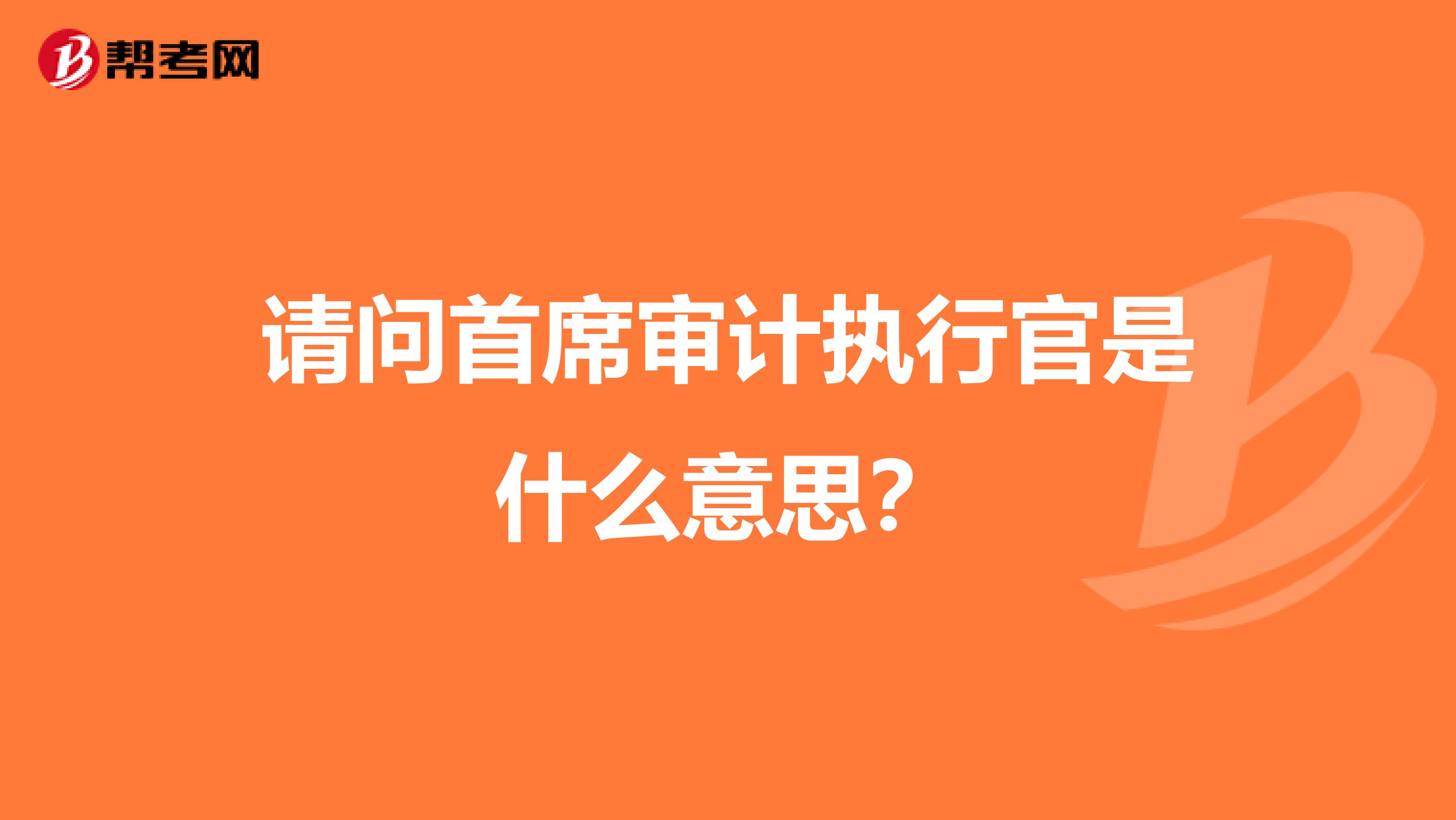 请问首席审计执行官是什么意思?