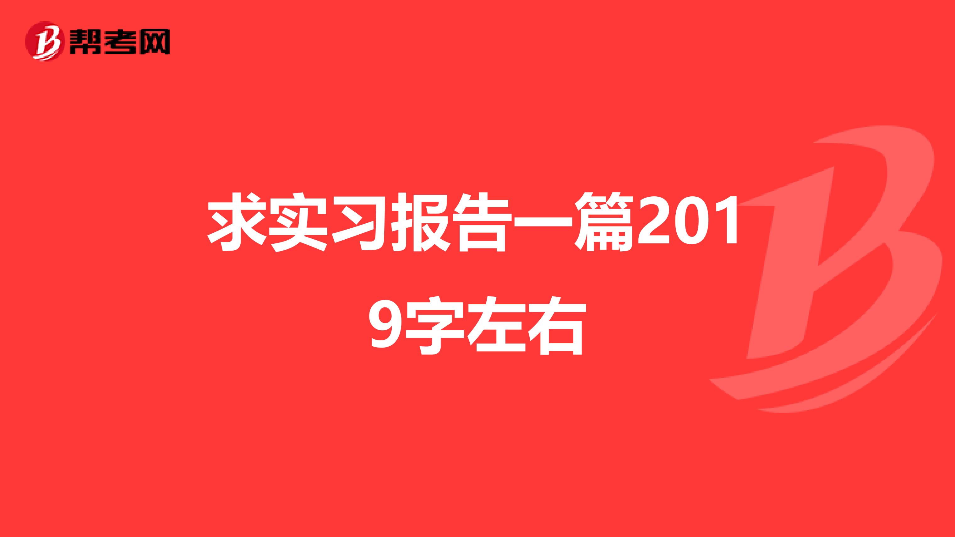 求实习报告一篇2019字左右