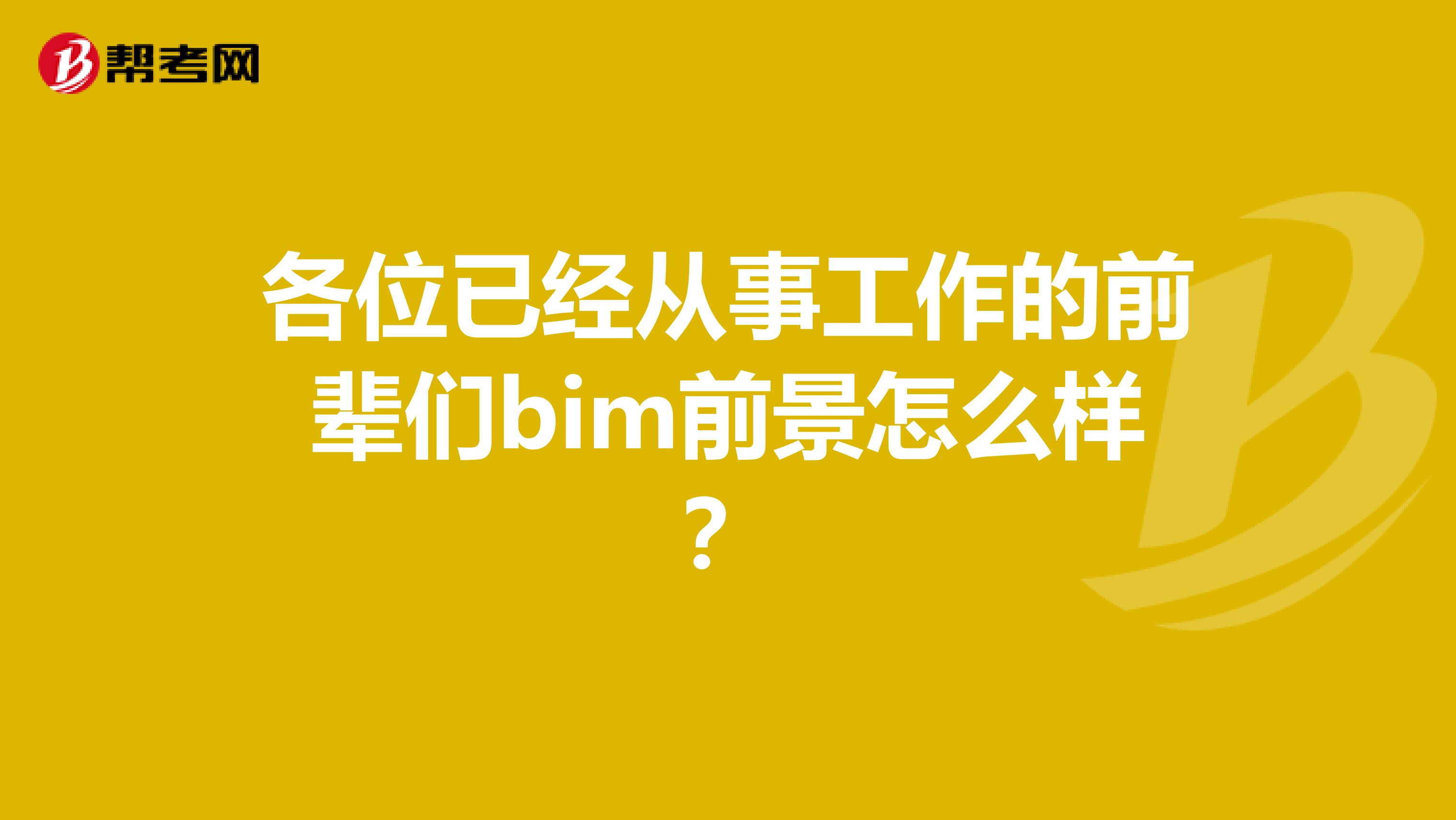 各位已经从事工作的前辈们bim前景怎么样?