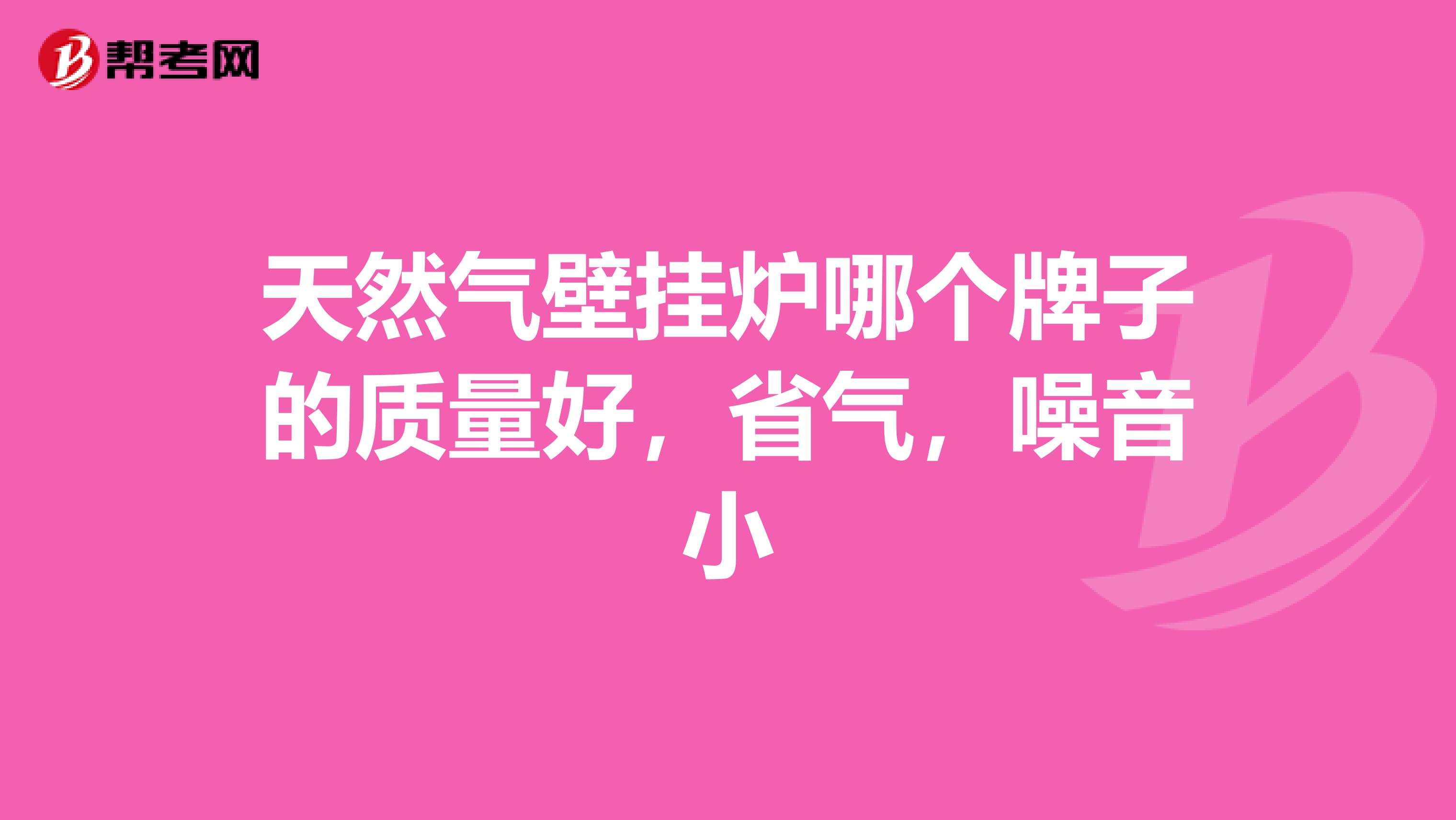 天然气壁挂炉哪个牌子的质量好，省气，噪音小