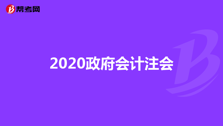 2020政府会计注会