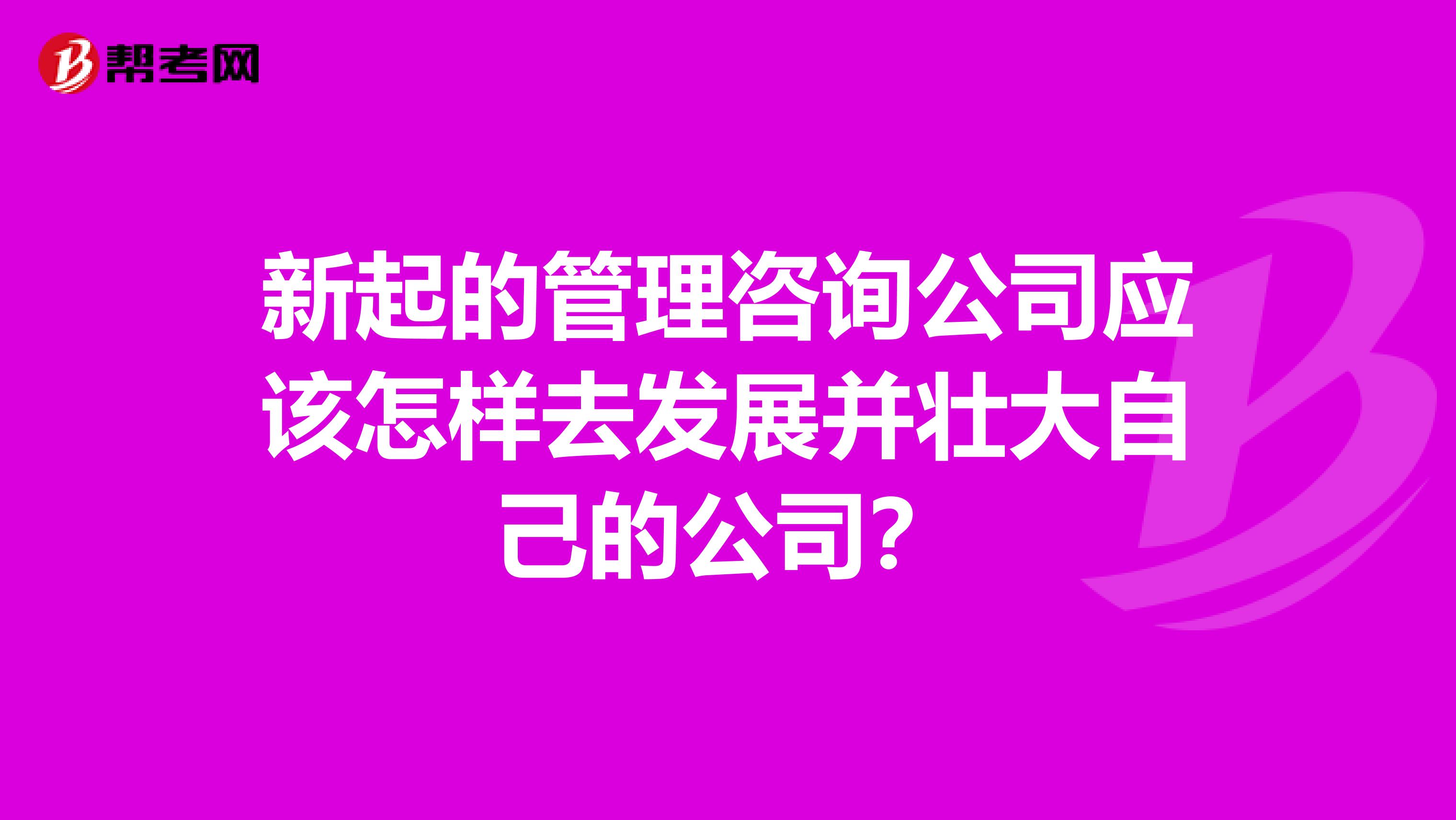 新起的管理咨询公司应该怎样去发展并壮大自己的公司？