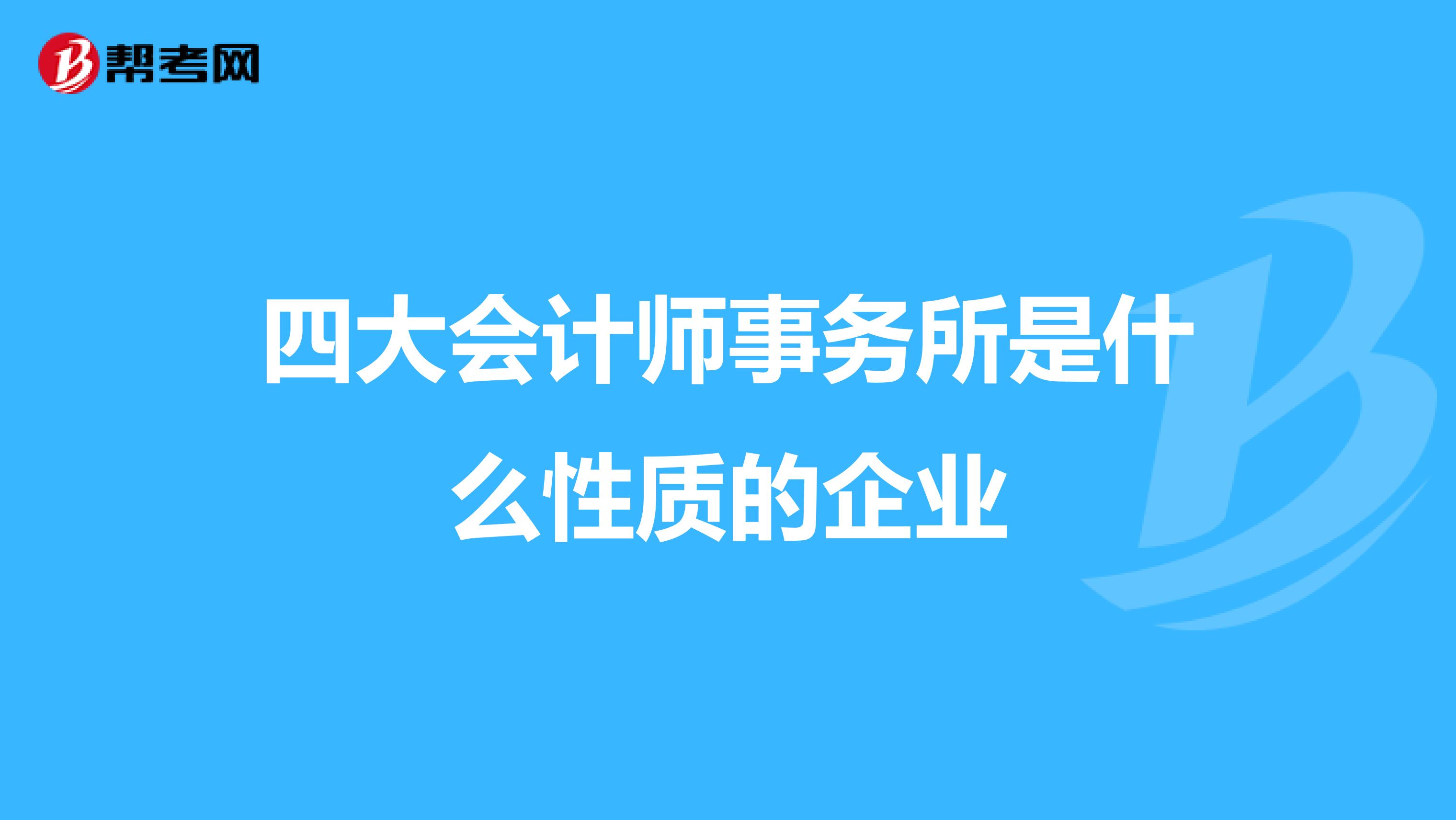 四大会计师事务所是什么性质的企业