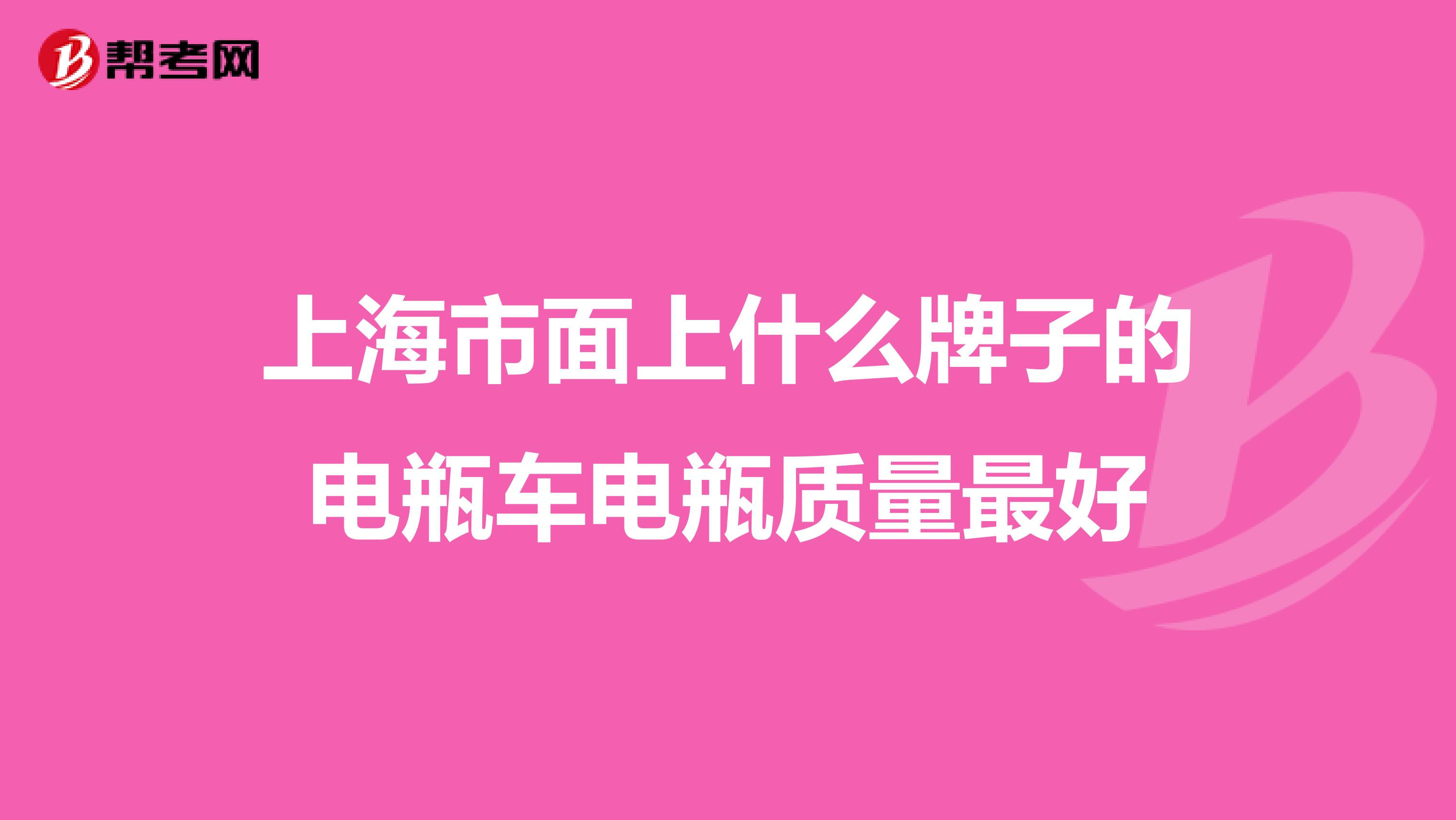 上海市面上什么牌子的电瓶车电瓶质量最好