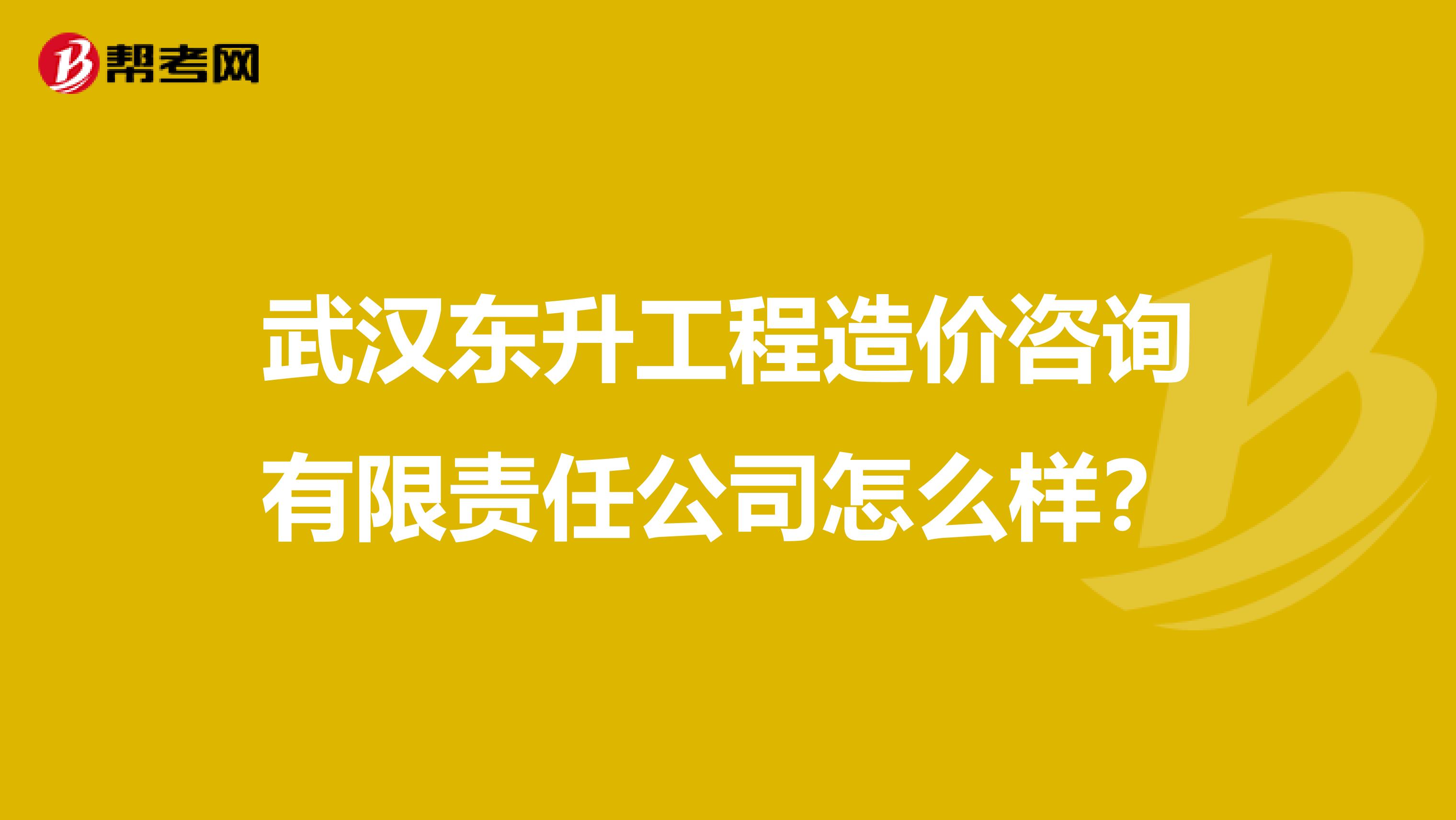 武汉东升工程造价咨询有限责任公司怎么样？