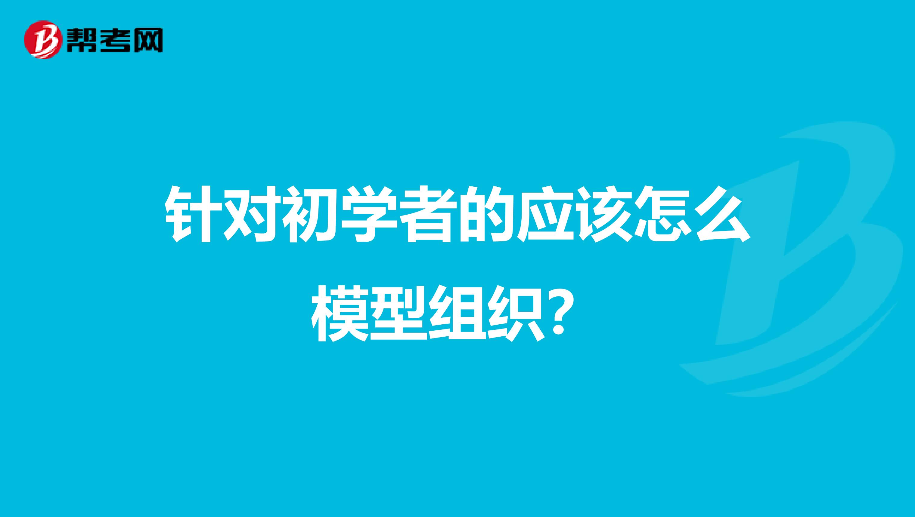 针对初学者的应该怎么模型组织?