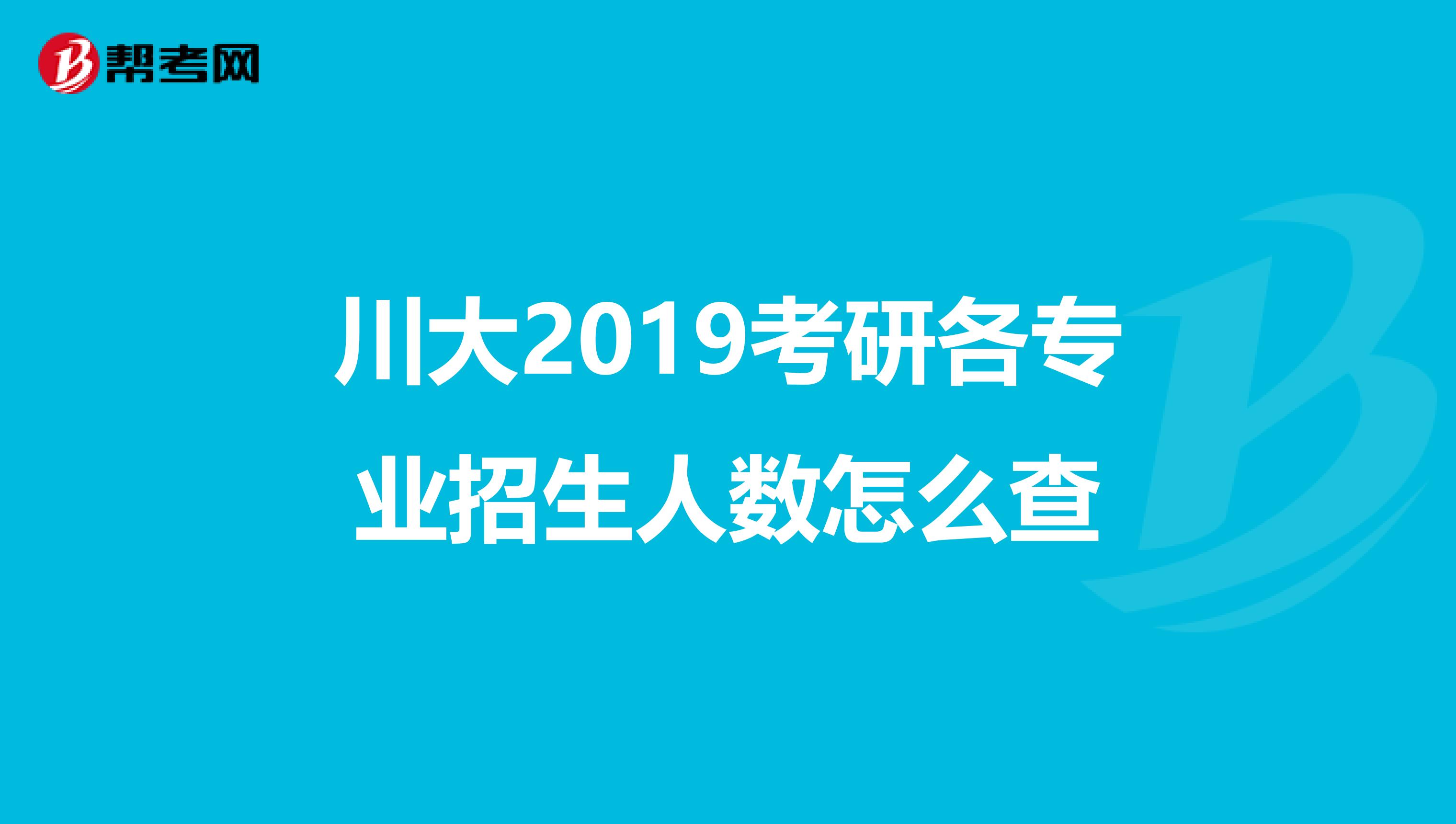 川大2019考研各专业招生人数怎么查