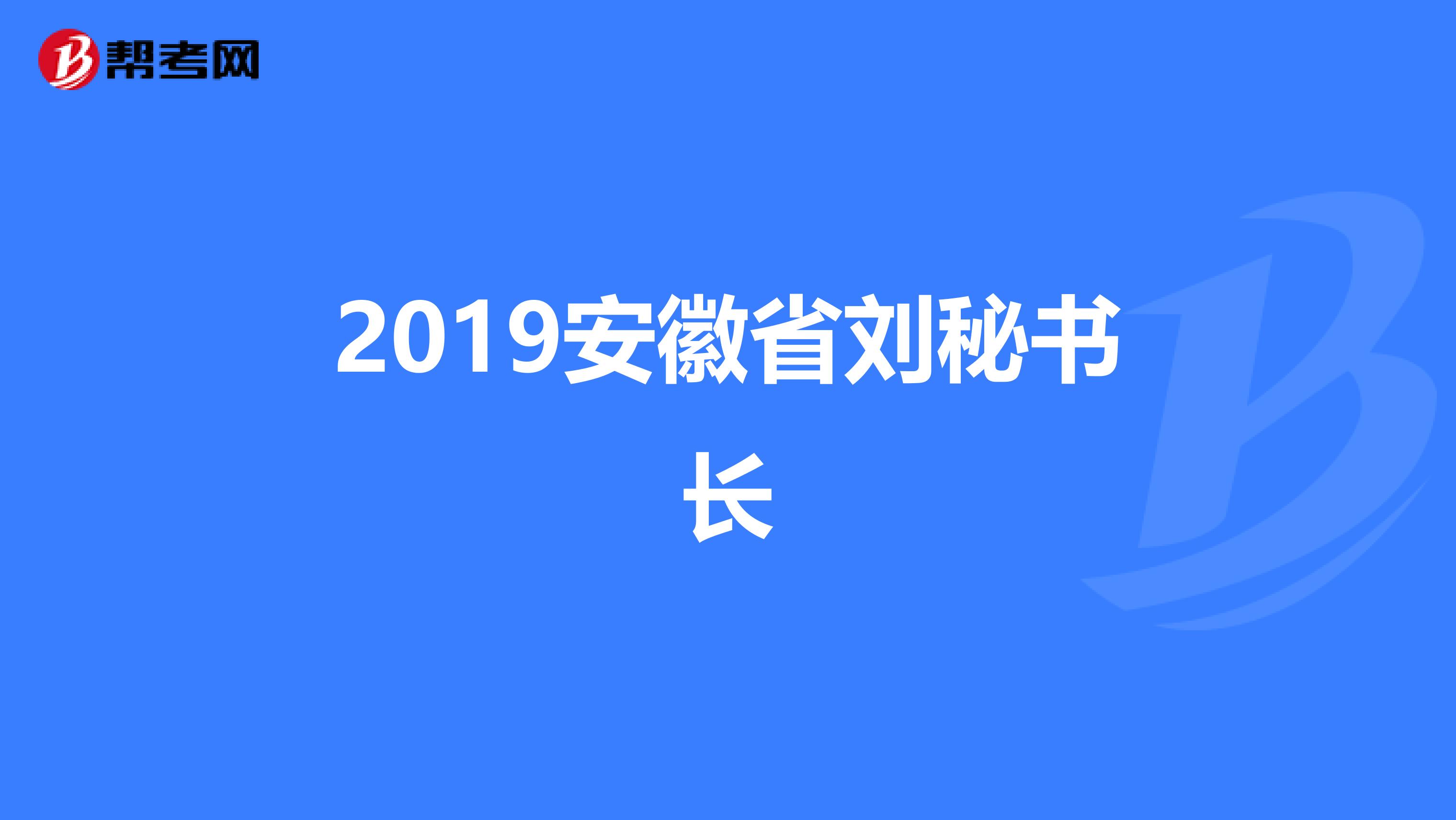 2019安徽省刘秘书长