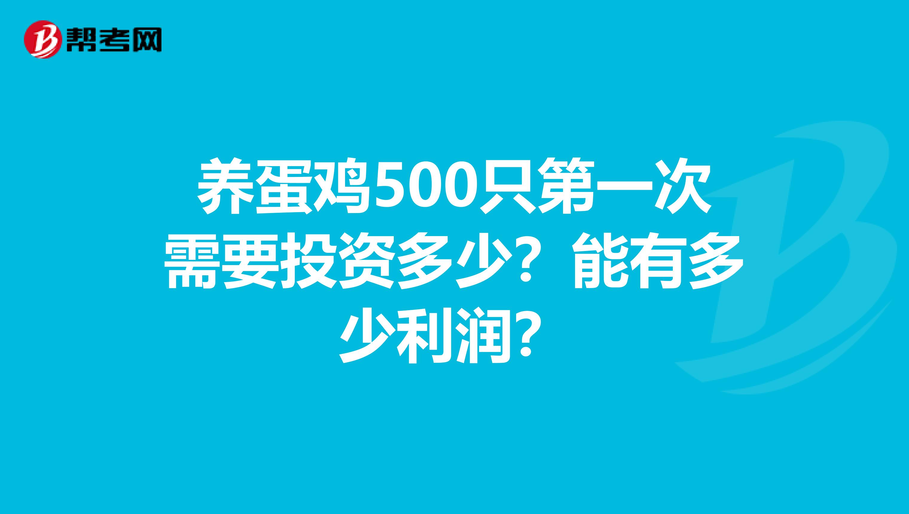 养蛋鸡500只第一次需要投资多少?能有多少利润?