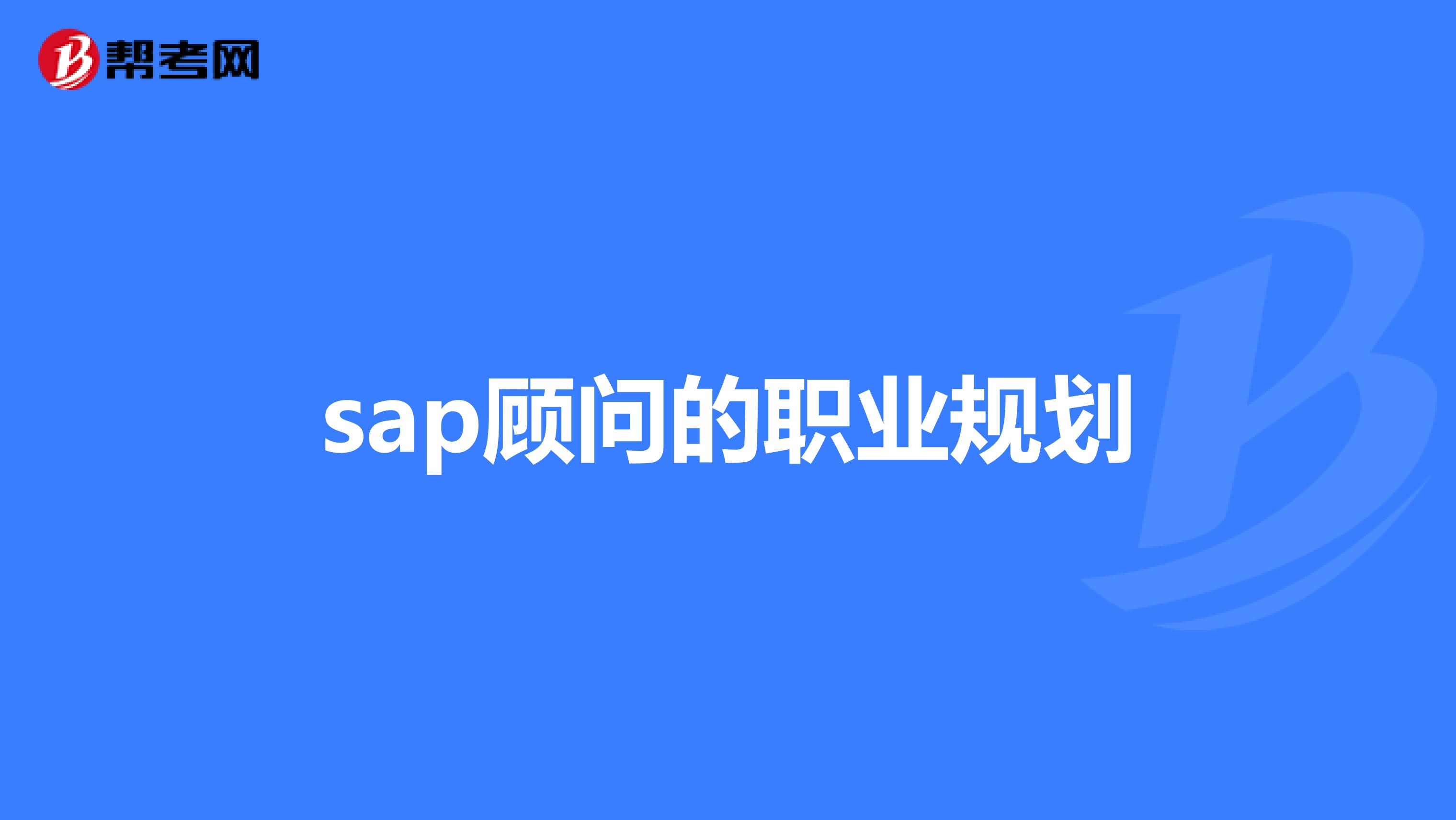 sap顾问的职业规划