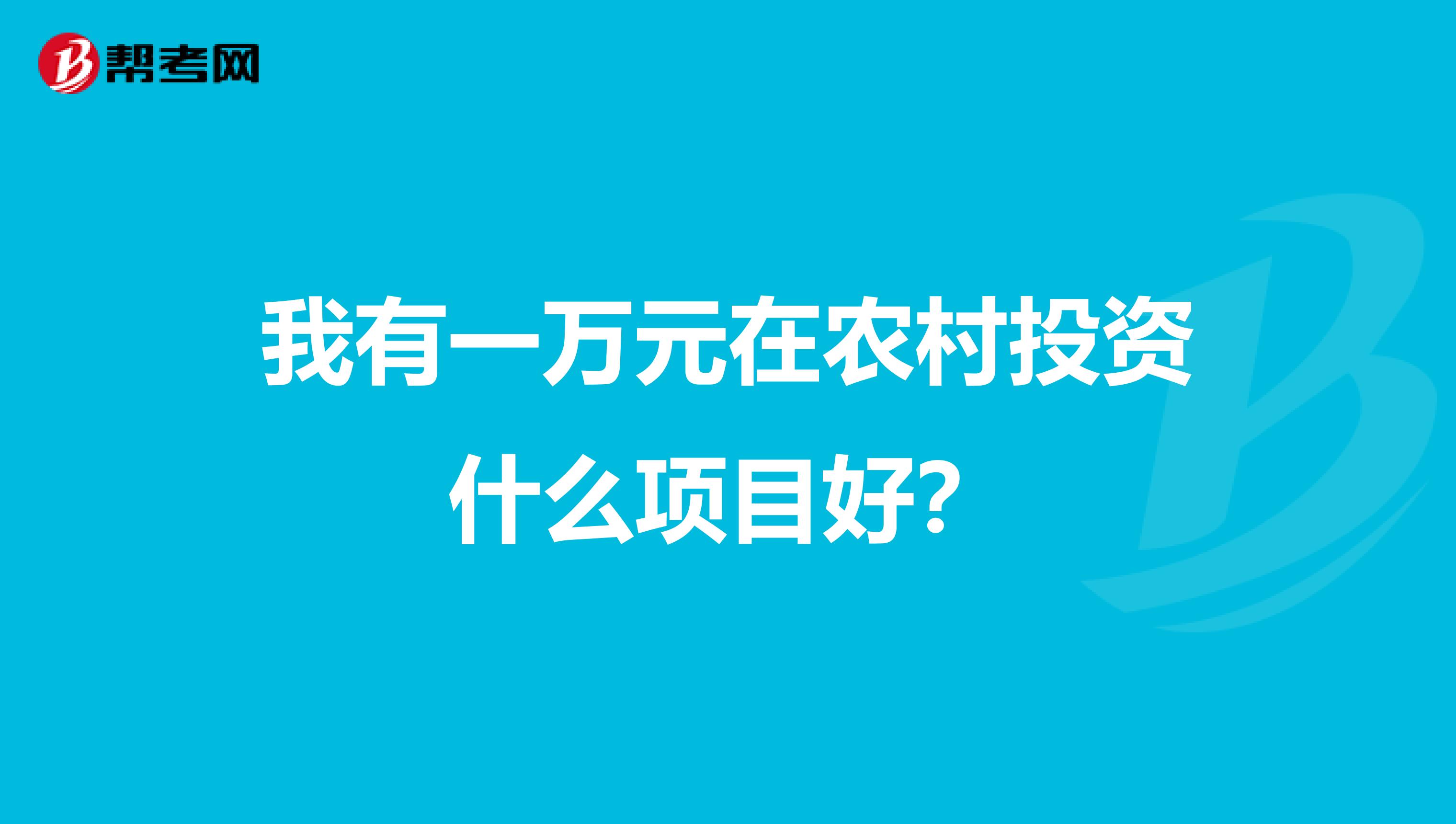我有一万元在农村投资什么项目好?