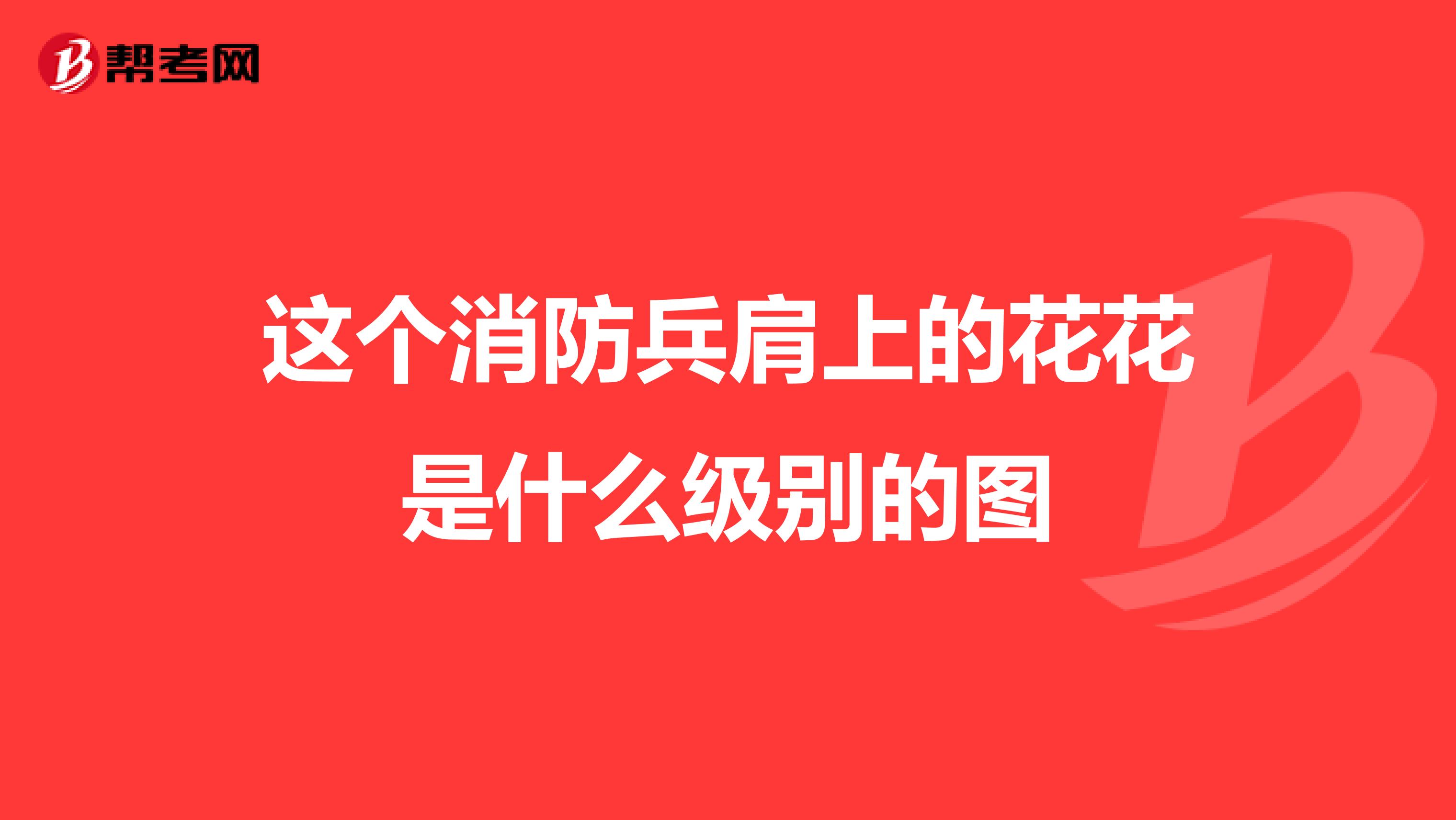 这个消防兵肩上的花花是什么级别的图