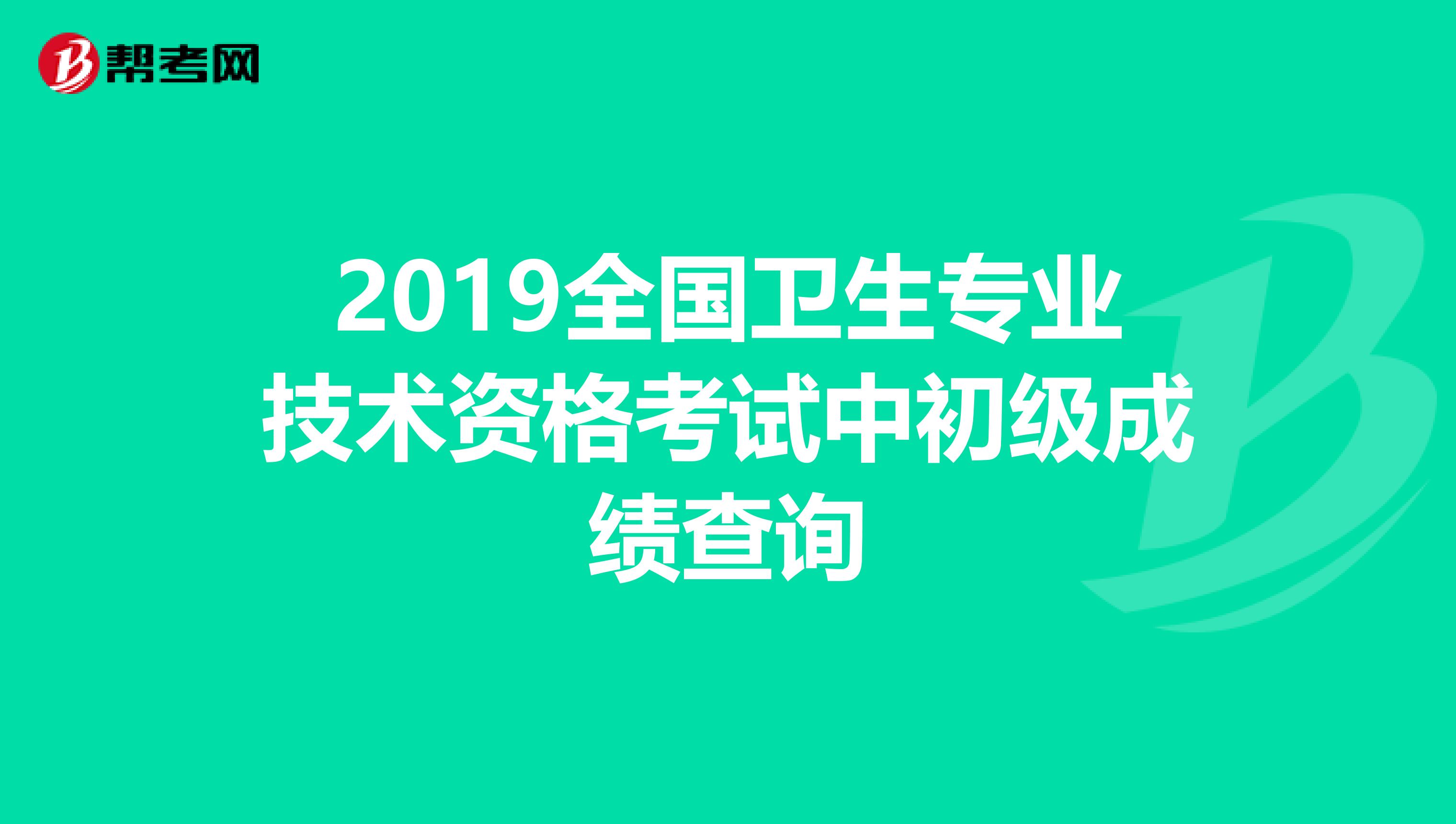 2019全国卫生专业技术资格考试中初级成绩查询