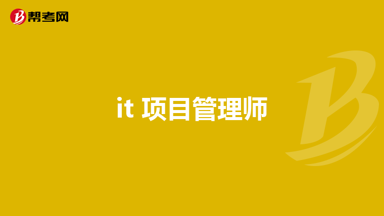 it 项目管理师