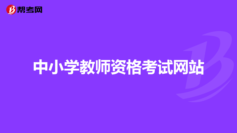 中小学教师资格考试网站