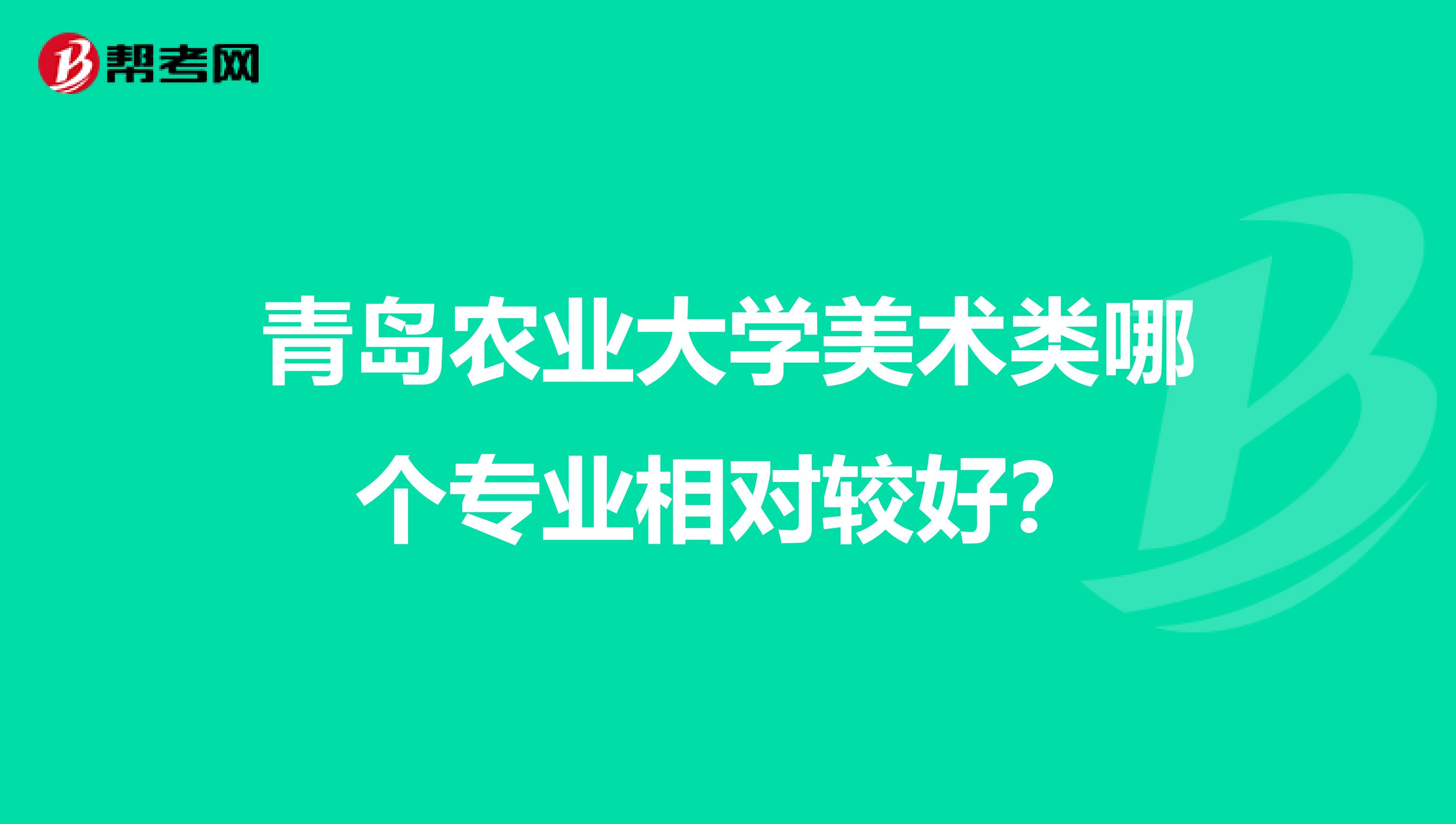 青岛农业大学美术类哪个专业相对较好？