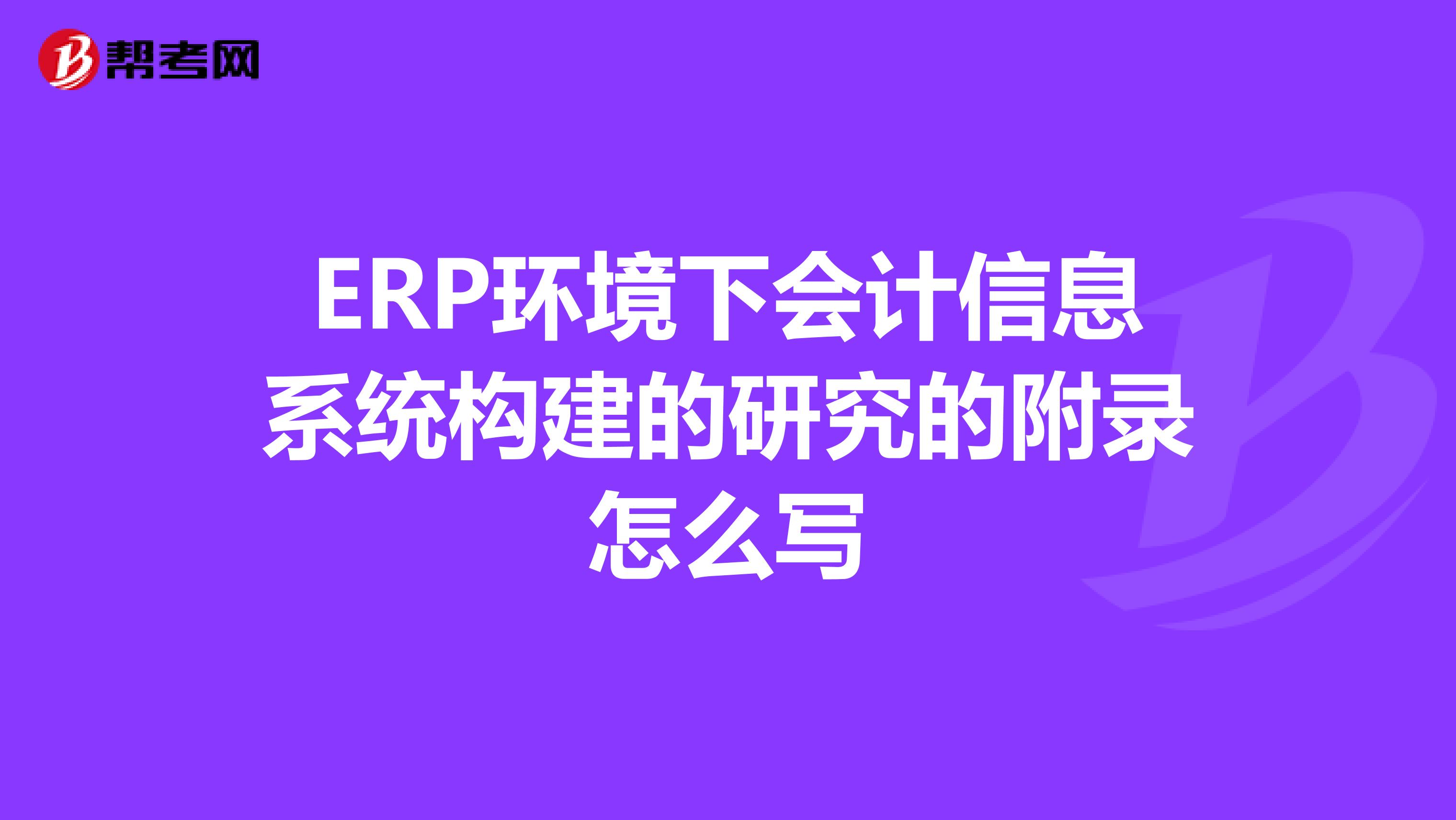ERP环境下会计信息系统构建的研究的附录怎么写