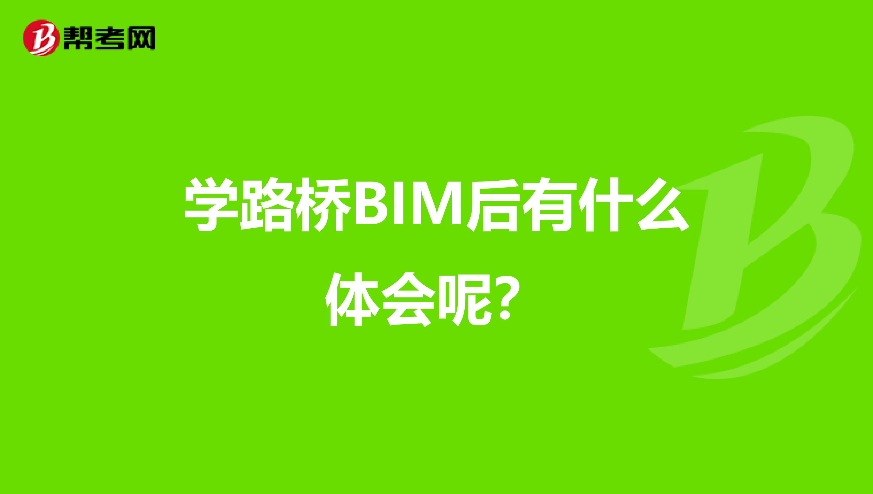 学路桥BIM后有什么体会呢？