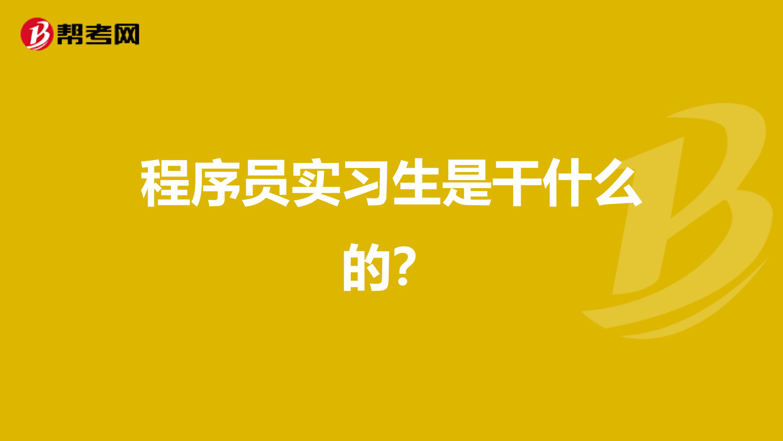 程序员实习生是干什么的?