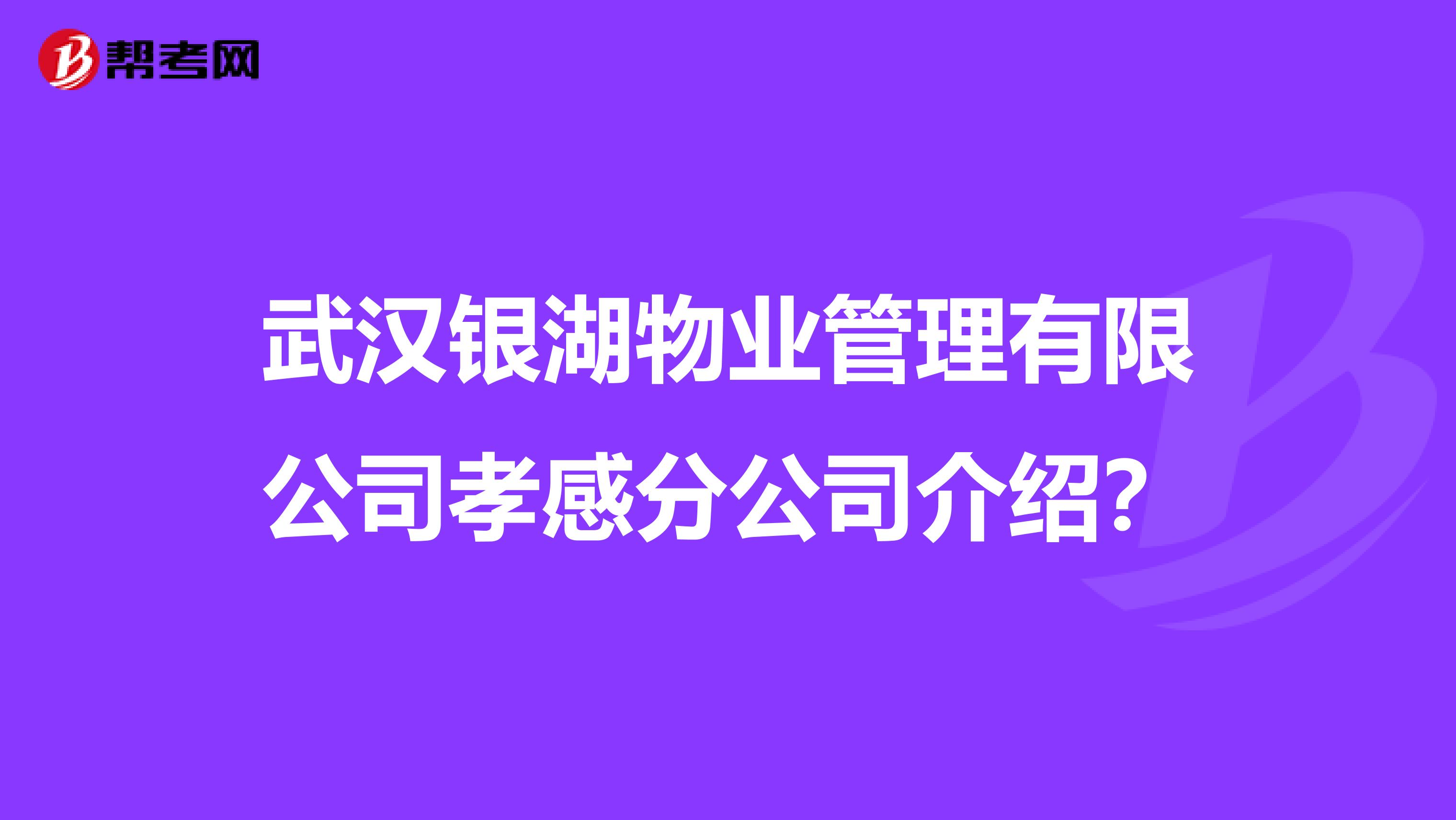 武汉银湖物业管理有限公司孝感分公司介绍？