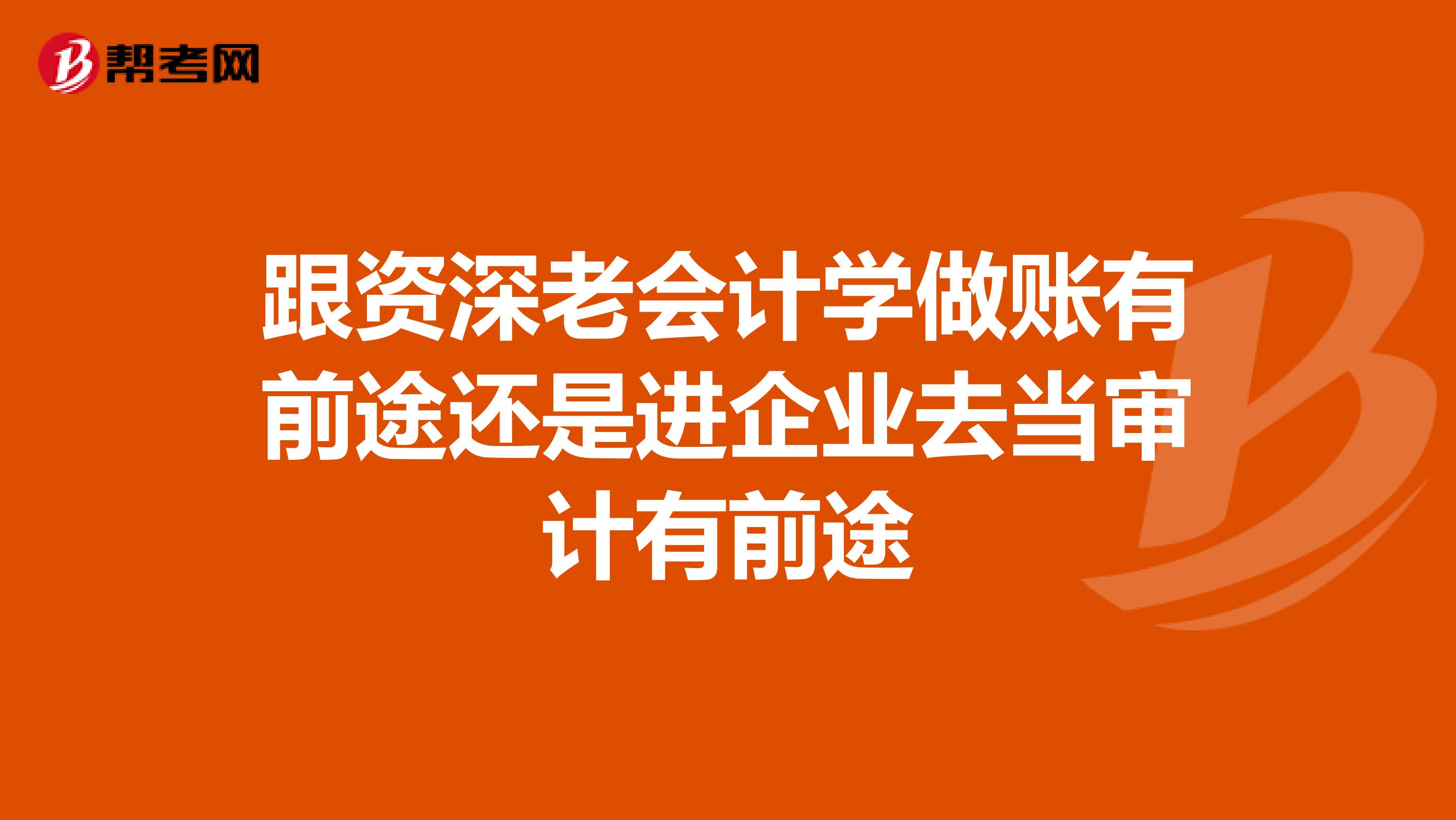 跟资深老会计学做账有前途还是进企业去当审计有前途