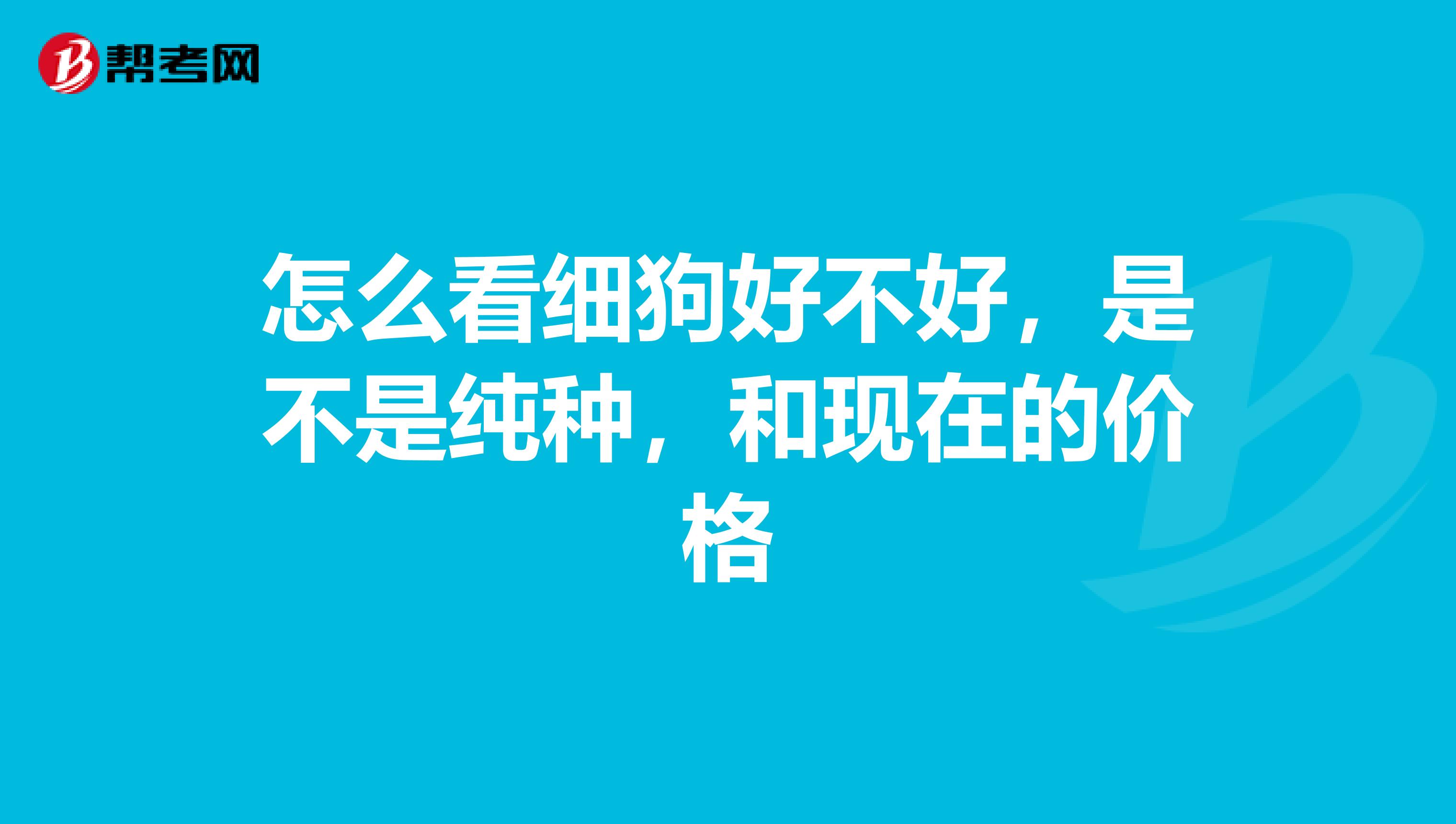 怎么看细狗好不好，是不是纯种，和现在的价格