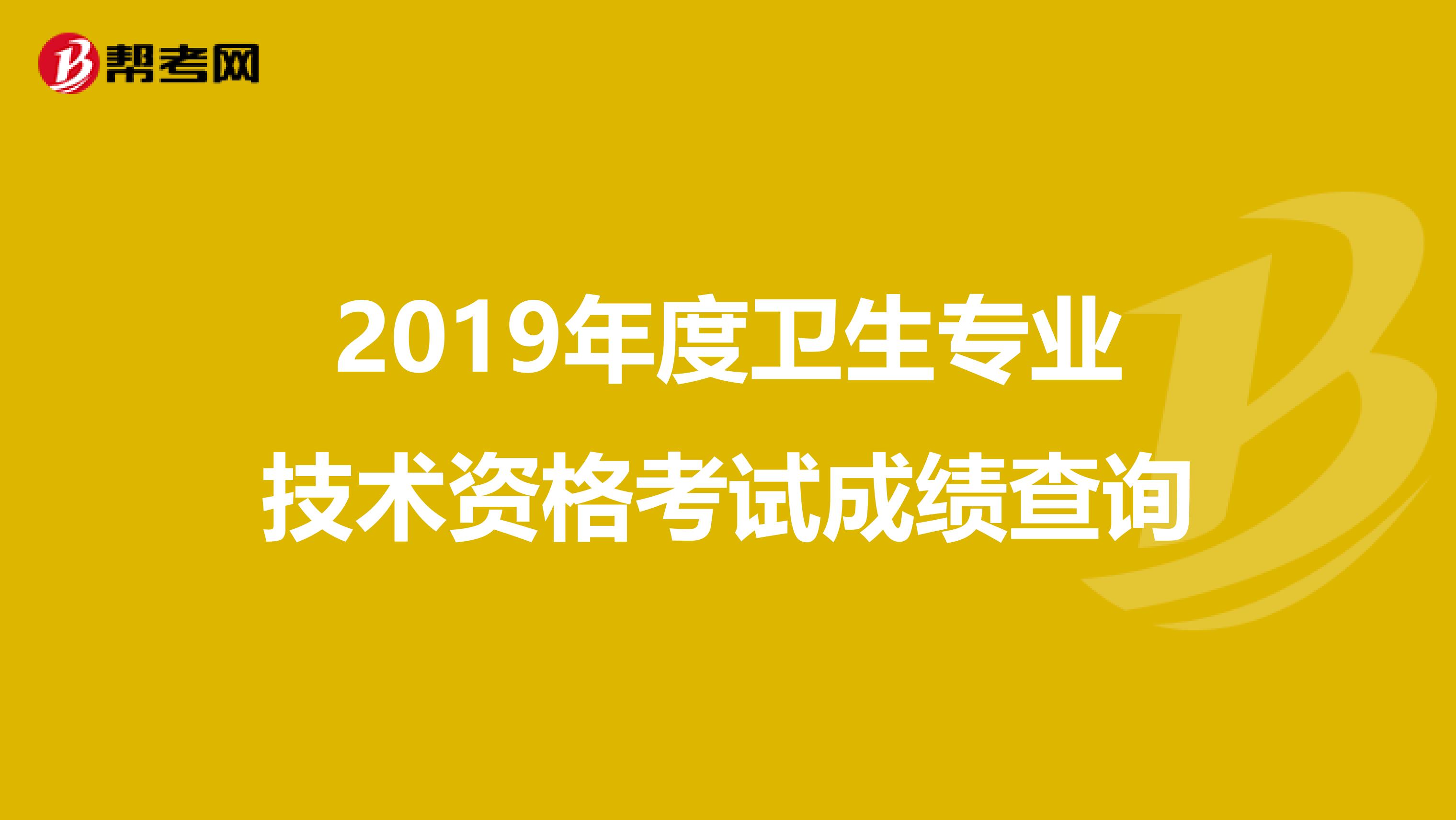 2019年度卫生专业技术资格考试成绩查询