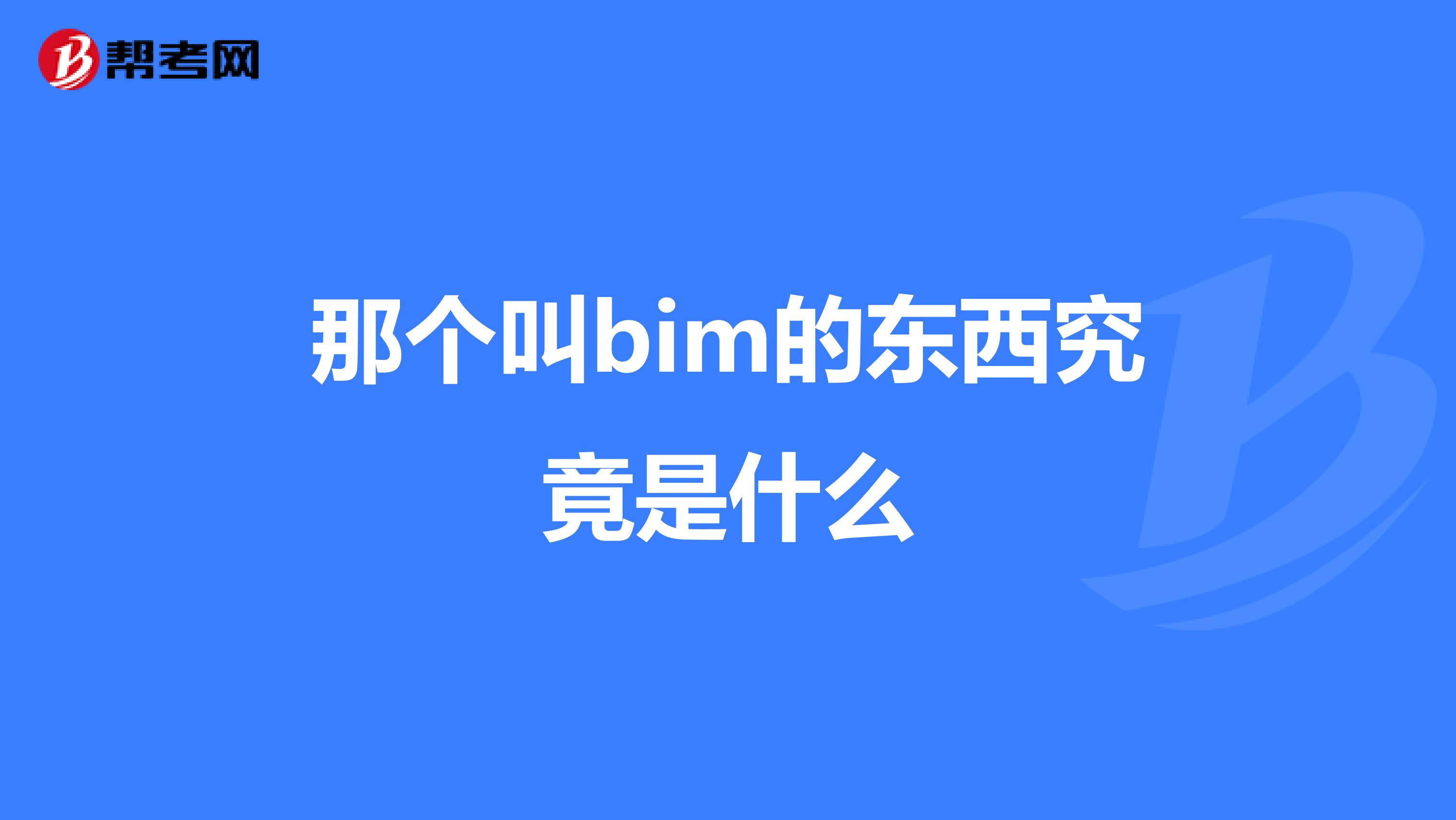 那個叫bim的東西究竟是什么