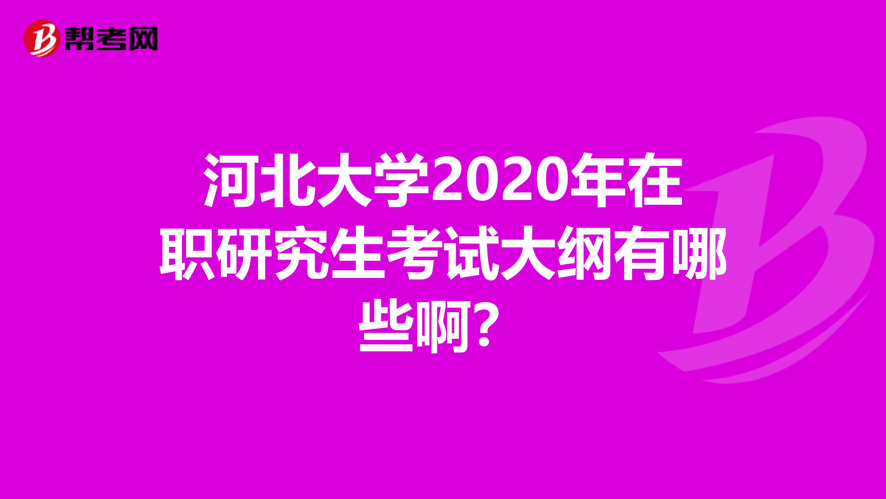 河北大学2020年在职研究生考试大纲有哪些啊？