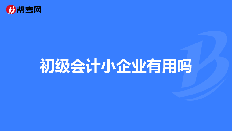初级会计小企业有用吗