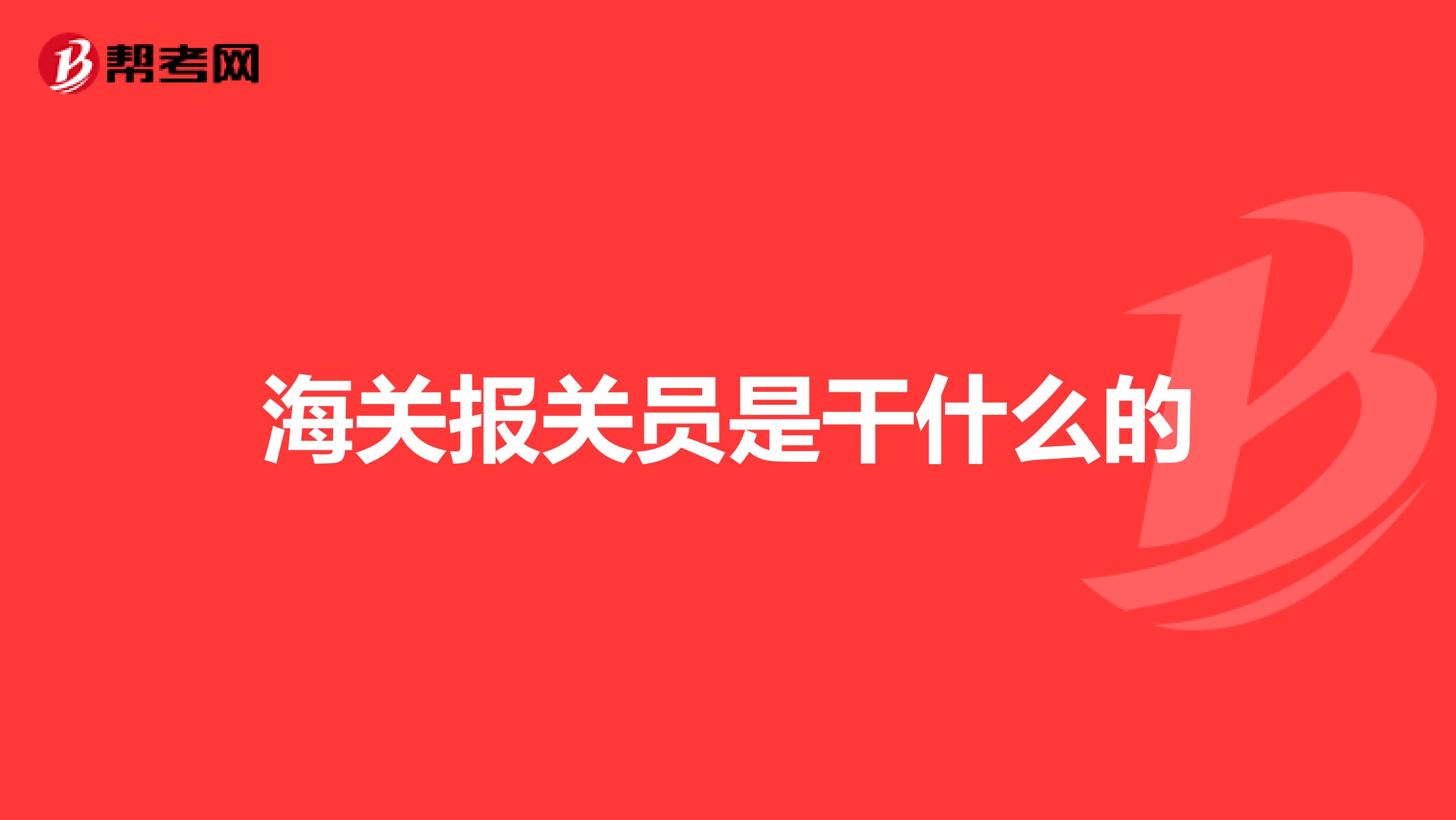 海关报关员是干什么的