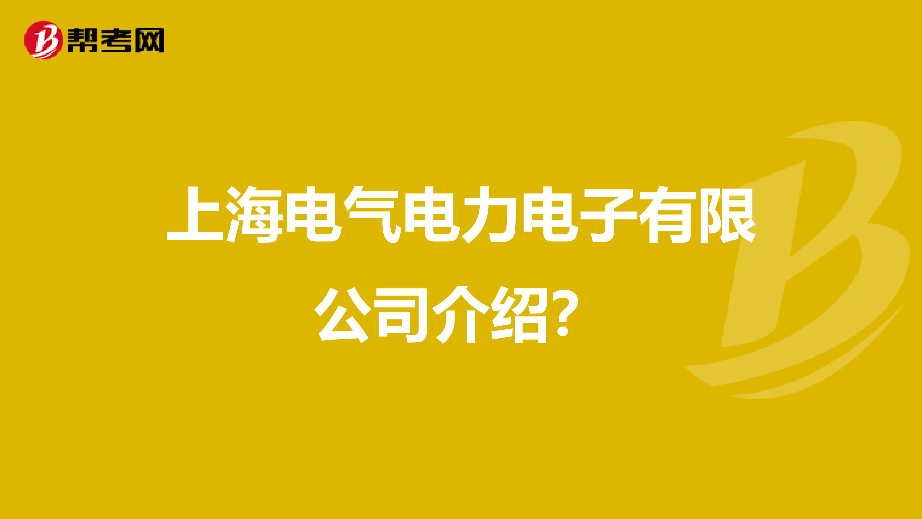上海电气电力电子有限公司介绍?