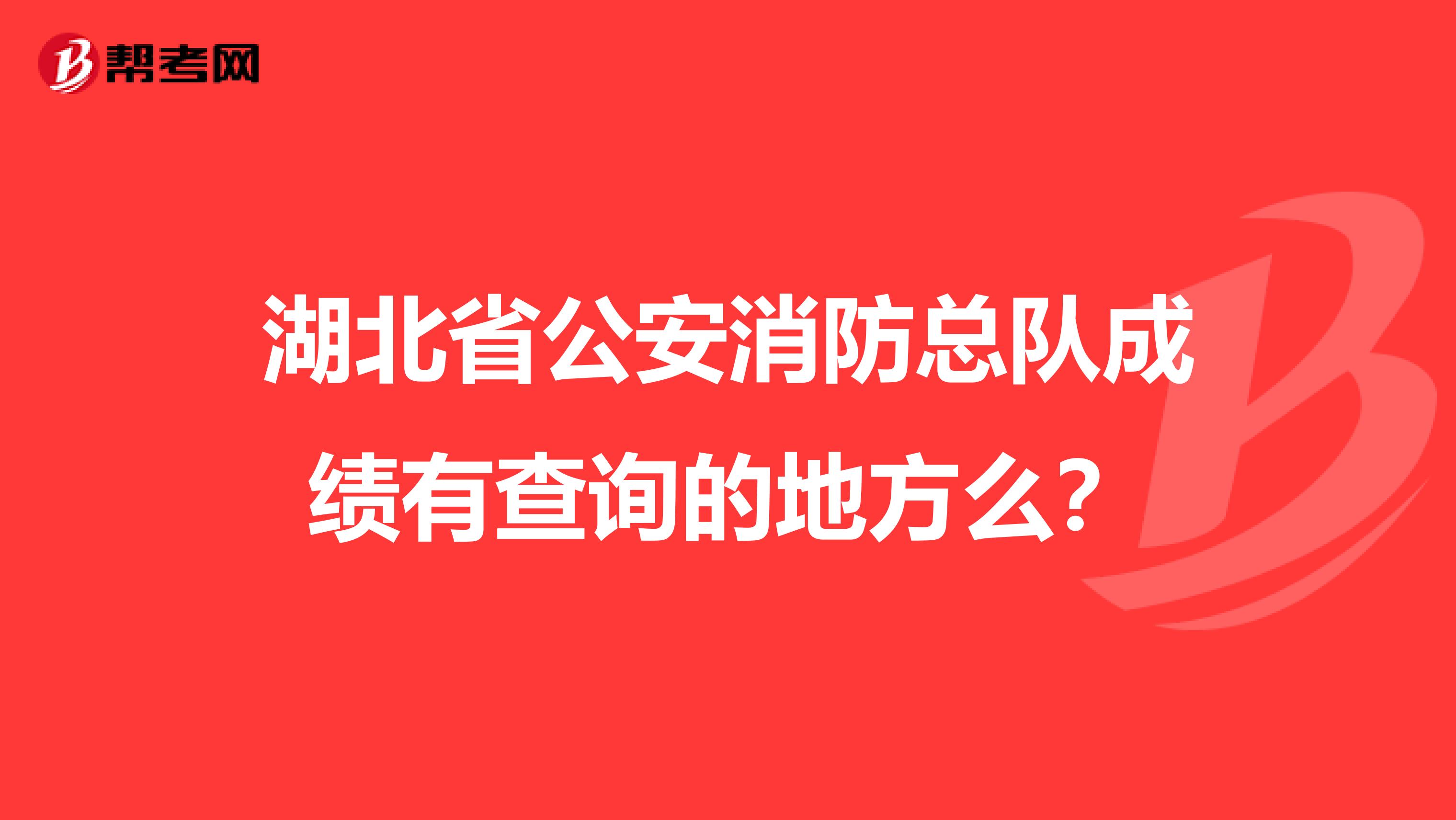 湖北省公安消防总队成绩有查询的地方么?