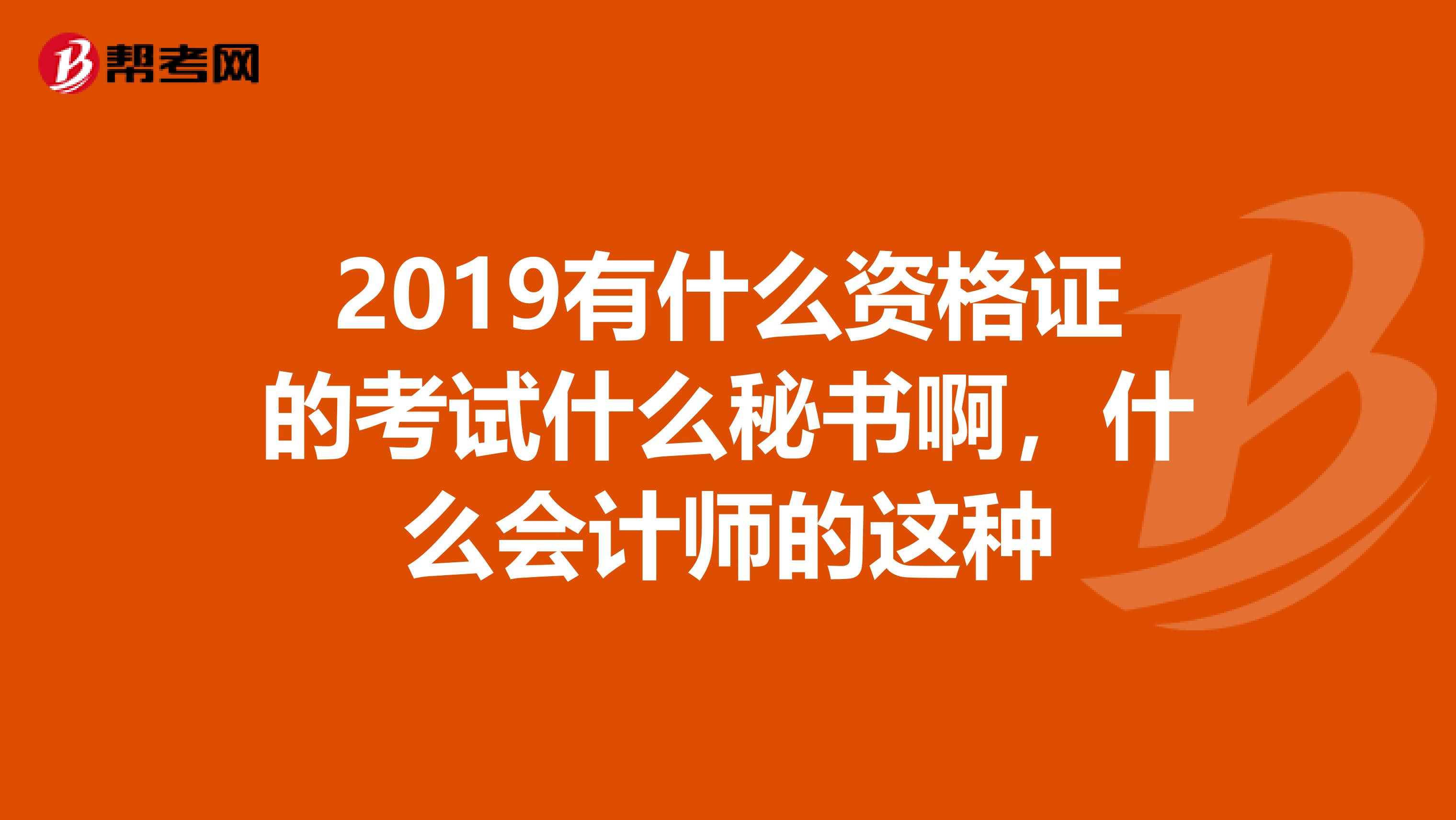 2019有什么资格证的考试什么秘书啊,什么会计师的这种