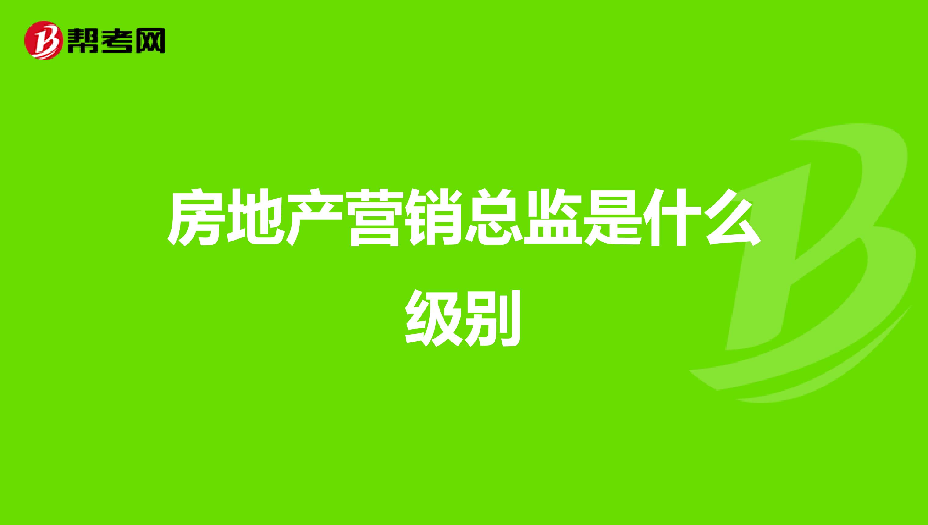 房地产营销总监是什么级别