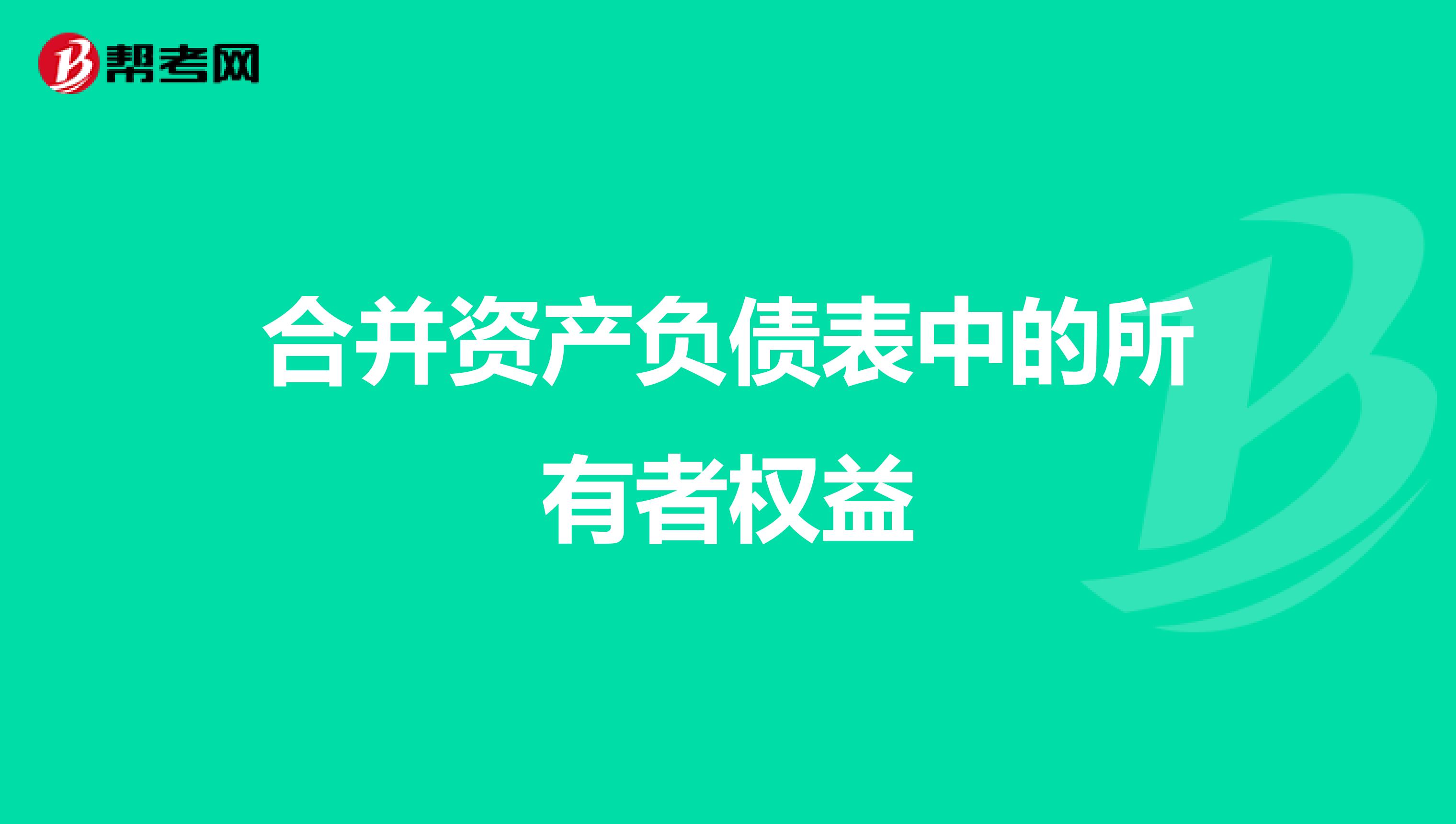合并資產負債表中的所有者權益