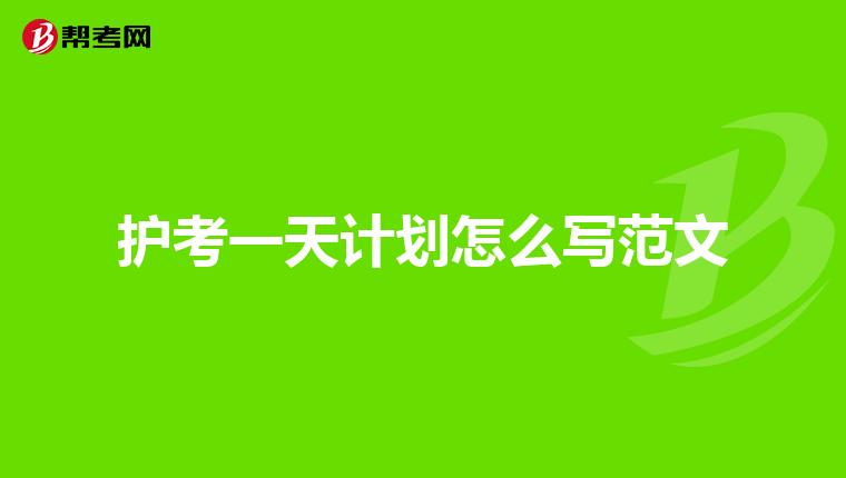 护考一天计划怎么写范文