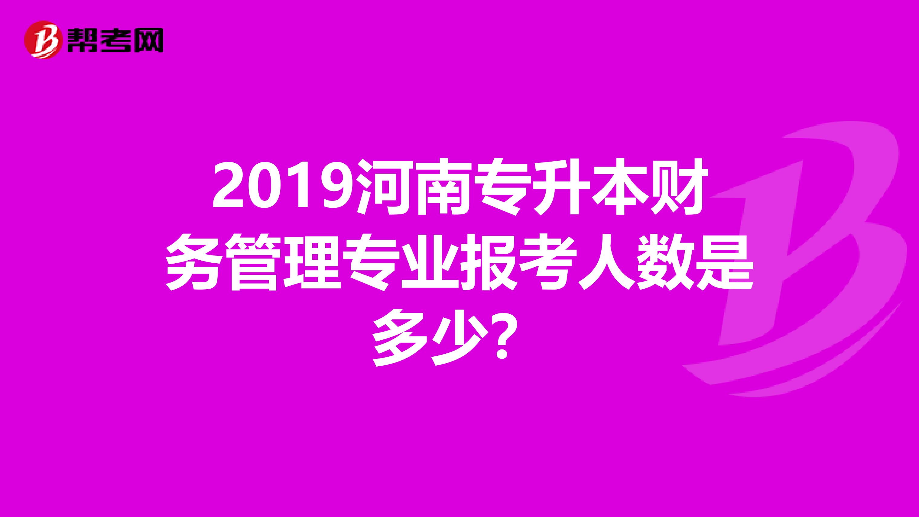 2019河南专升本财务管理专业报考人数是多少？