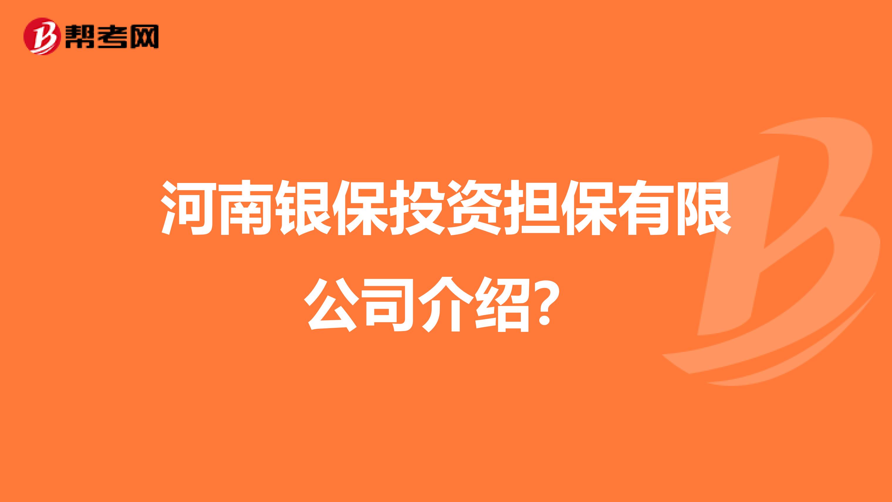 河南银保投资担保有限公司介绍?