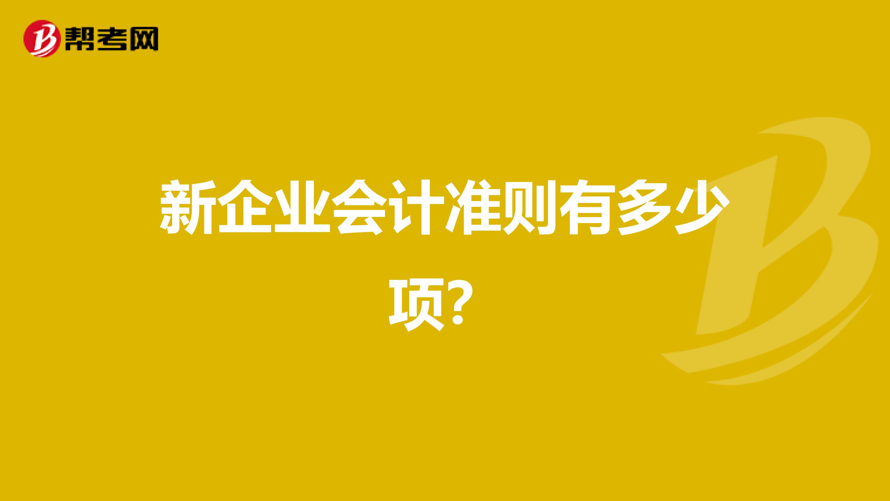 新企业会计准则有多少项？