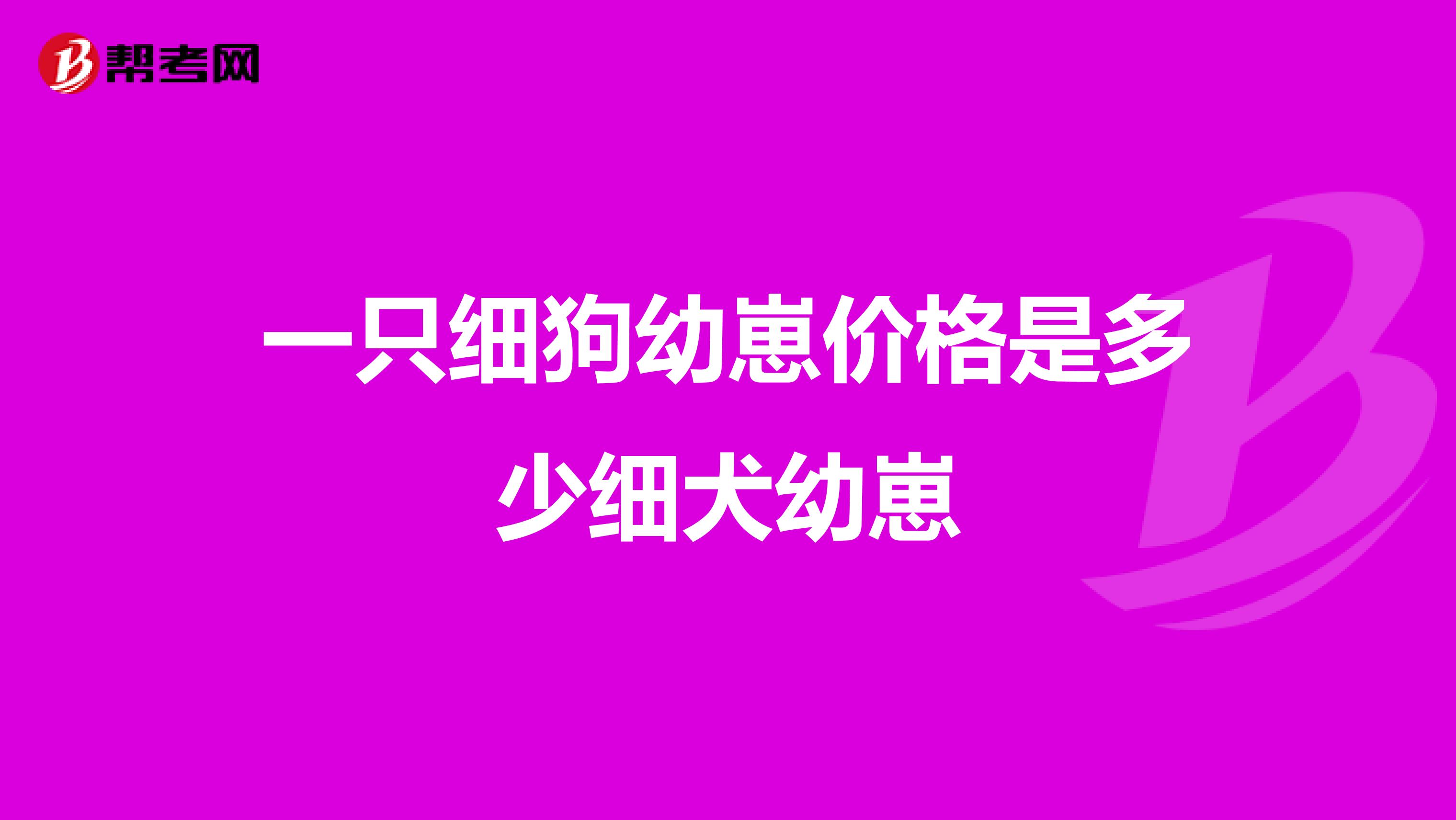 一只细狗幼崽价格是多少细犬幼崽