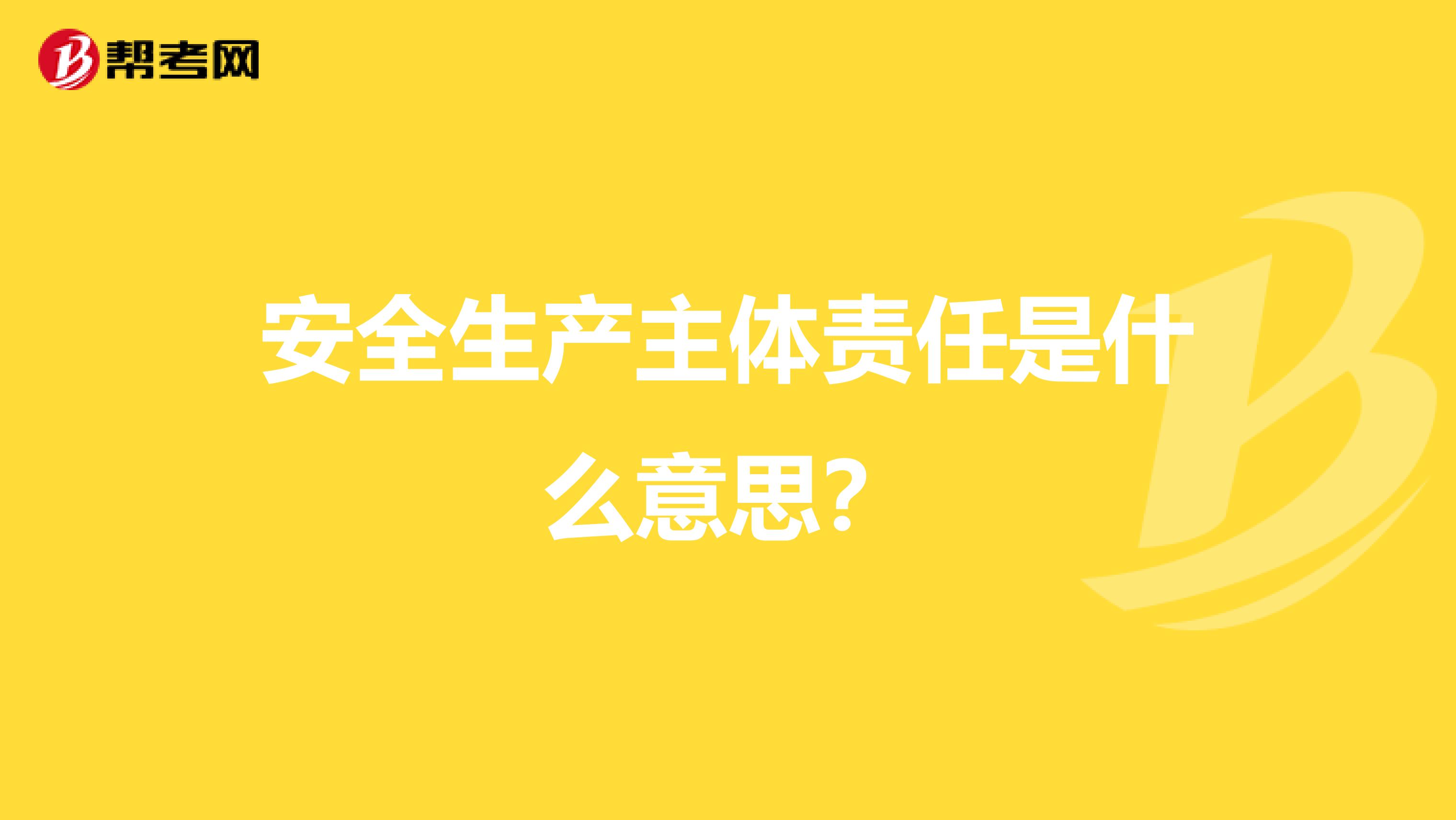 安全生产主体责任是什么意思？