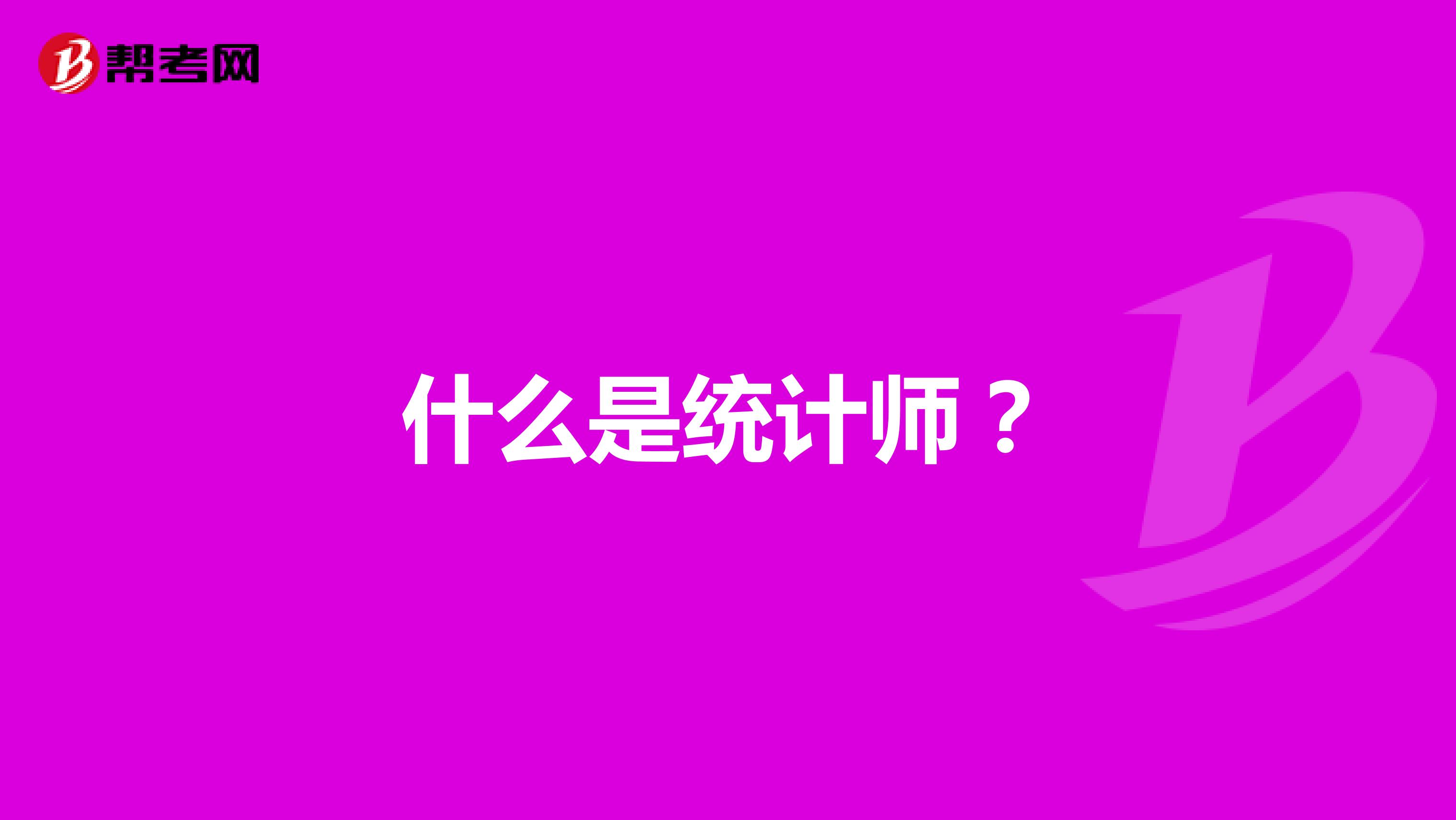 什么是统计师?