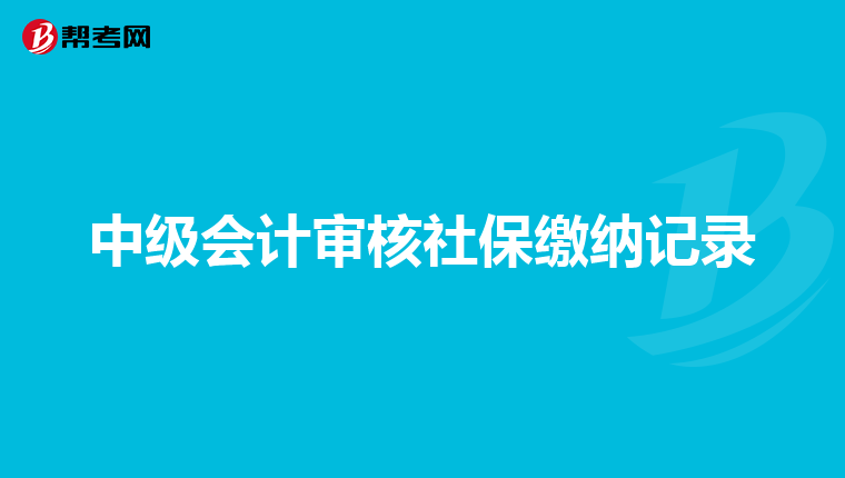 中级会计审核社保缴纳记录